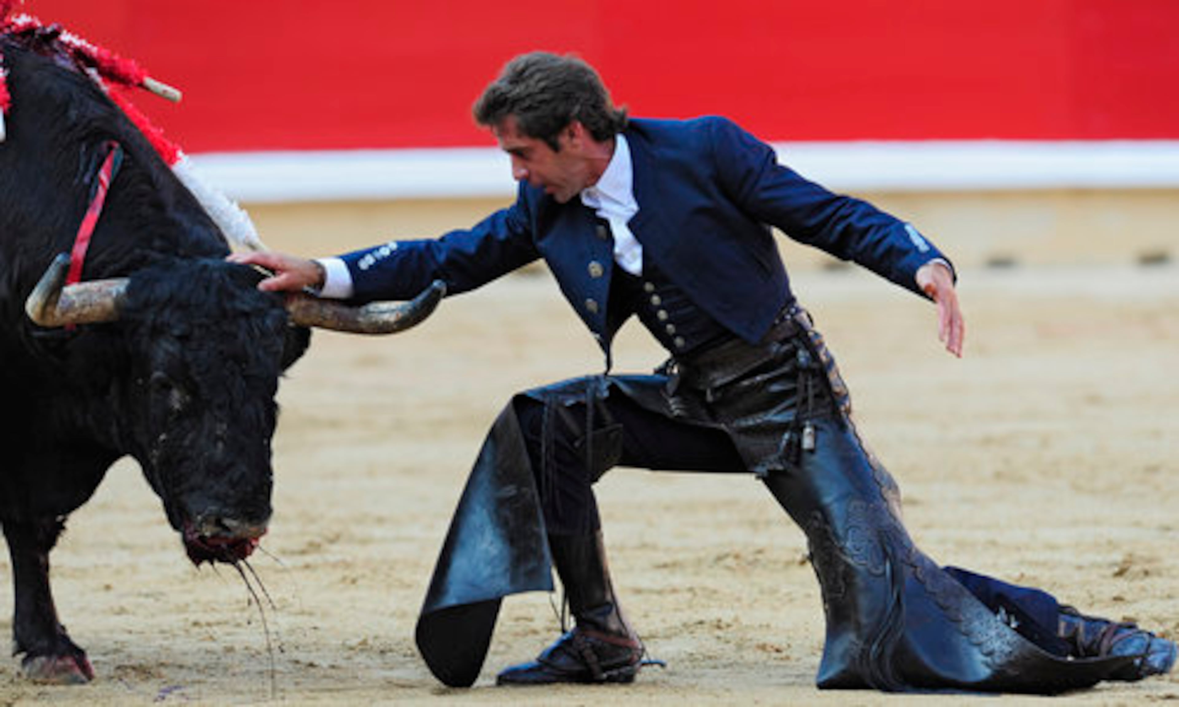 Original Caption: Spanish mounted bullfighter Pablo Hermoso de Mendoza touches the head of the bull during a horseback bullfight.
