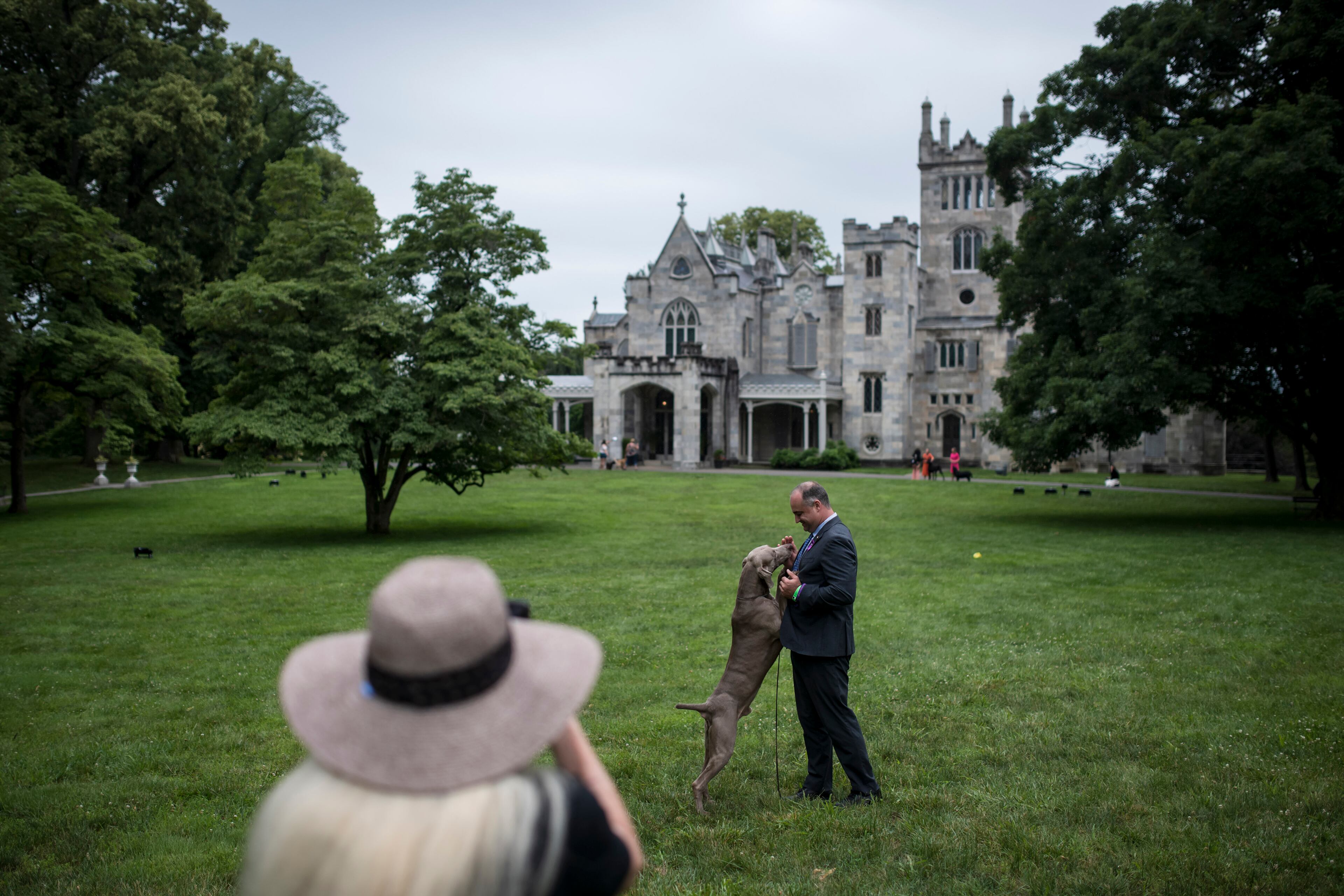Chris Leitkowski poses for a photo with his Weimaraner named Zeb at the Westminster Kennel Club Dog Show, held at the Lyndhurst Mansion in Tarrytown, N.Y., on Sunday, June 13, 2021. (Karsten Moran/The New York Times)
