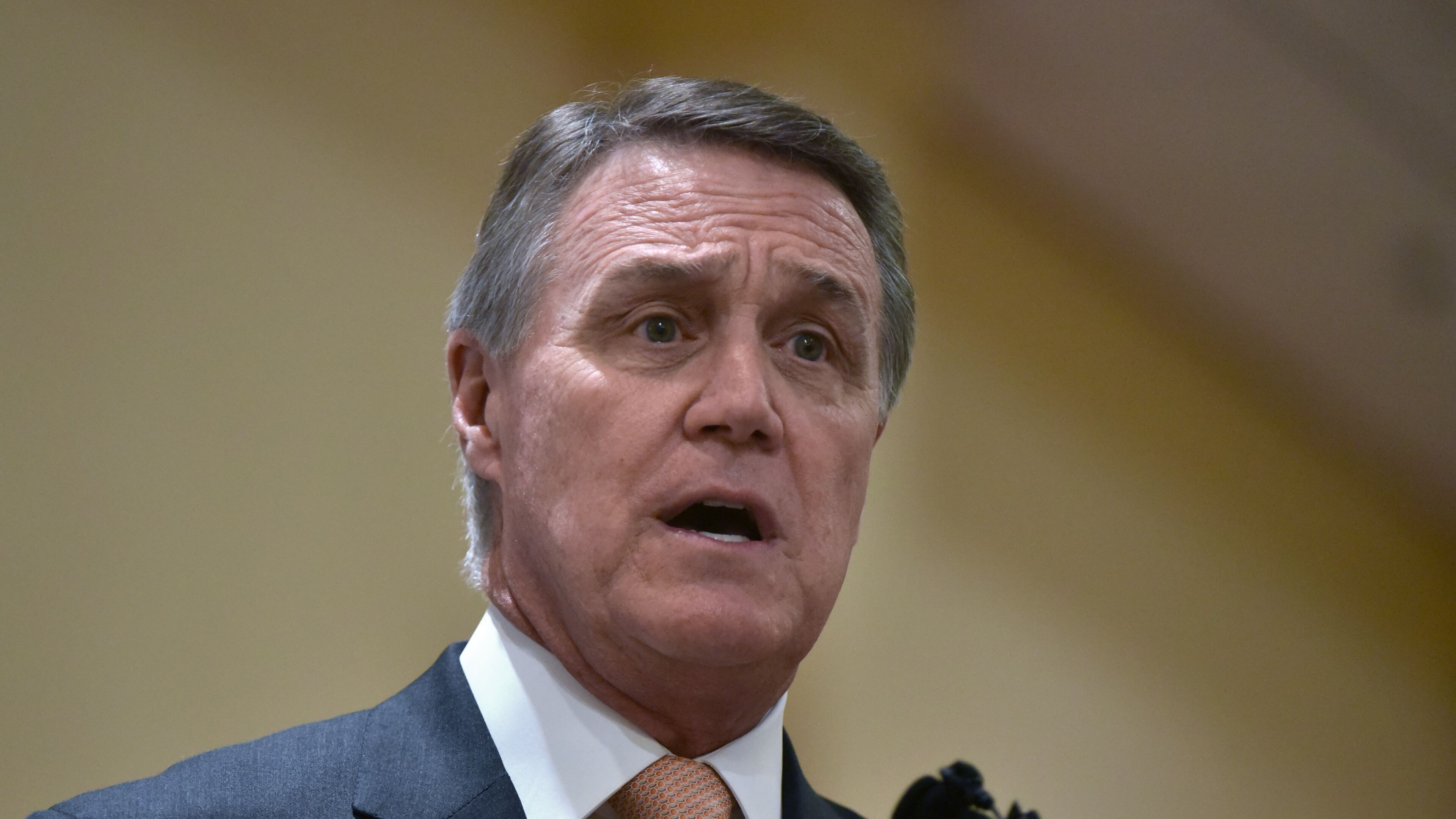 U.S. Sen. David Perdue speaks during the Brookhaven and DeKalb Chamber of Commerce luncheon on Tuesday. (AJC Photo / Hyosub Shin)