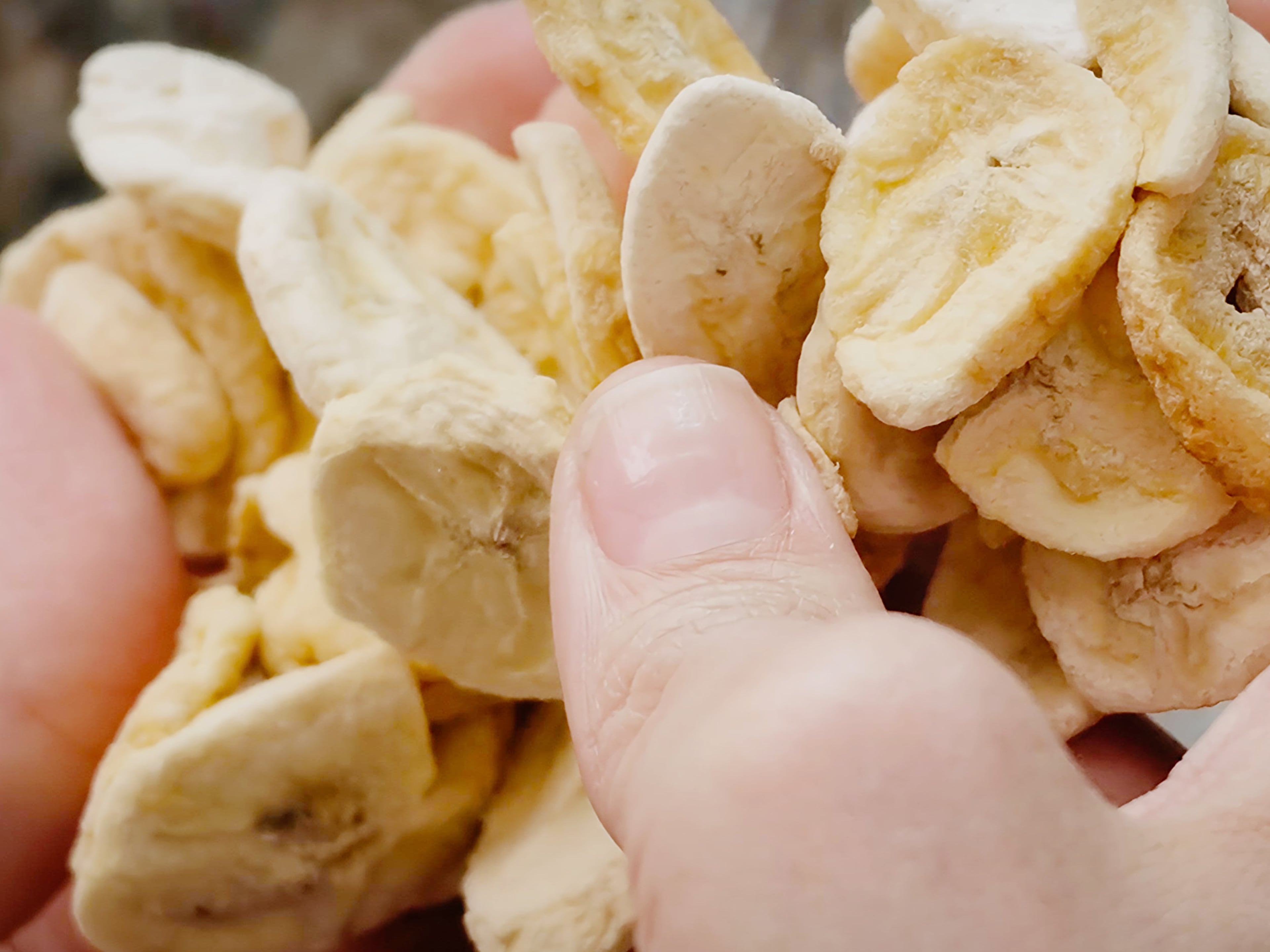 Freeze-dried bananas add concentrated banana flavor to homemade banana pudding without adding excess moisture to the custard.