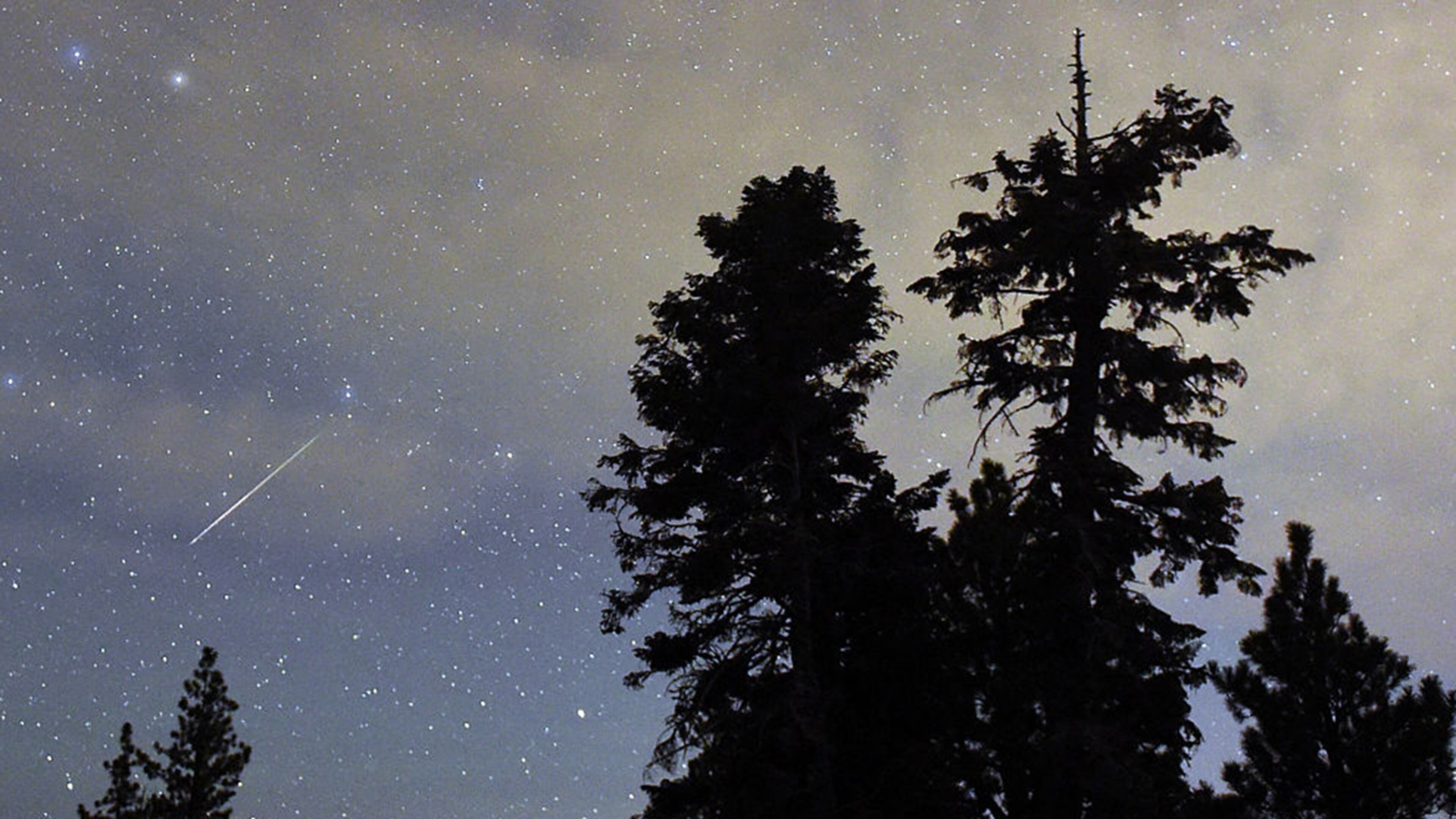 A meteor, similar to one that put on a show in parts of the Southeast over the weekend, streaks across the starry night sky above a grove of pine trees.