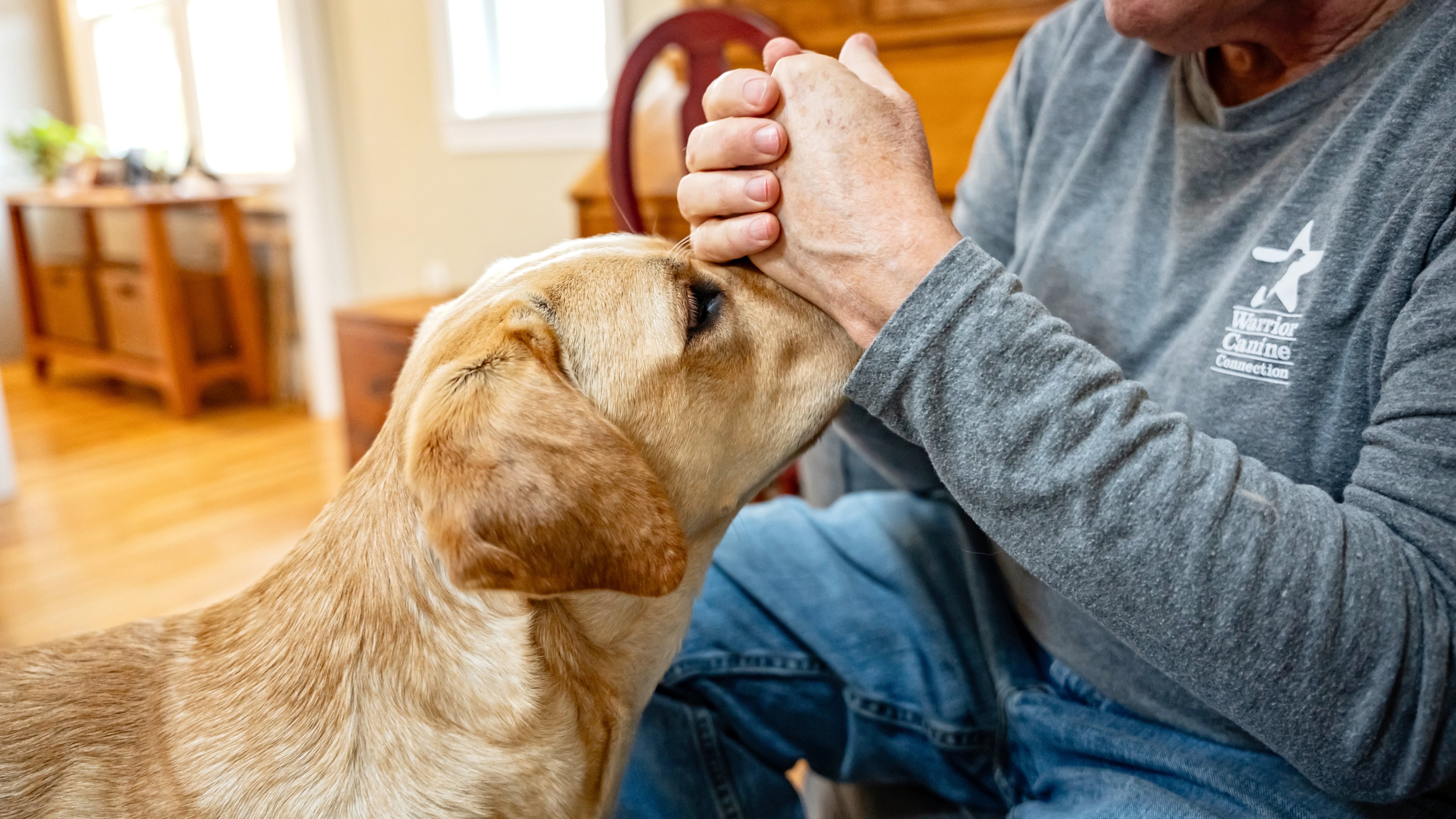 Memories of beloved pets can bring both sadness and gratitude for the years spent together. (Scott Suchman/The New York Times)