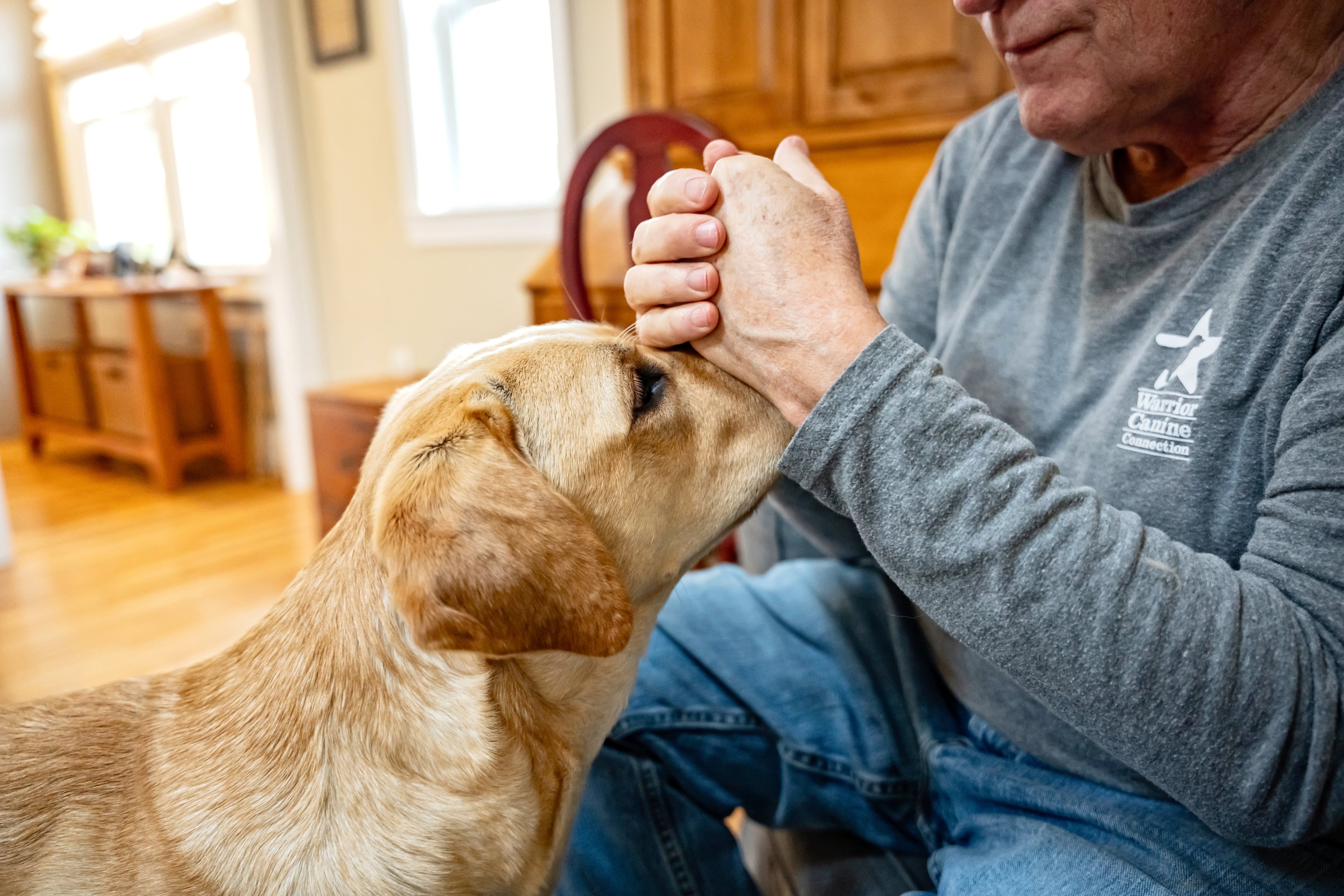 Memories of beloved pets can bring both sadness and gratitude for the years spent together. (Scott Suchman/The New York Times)