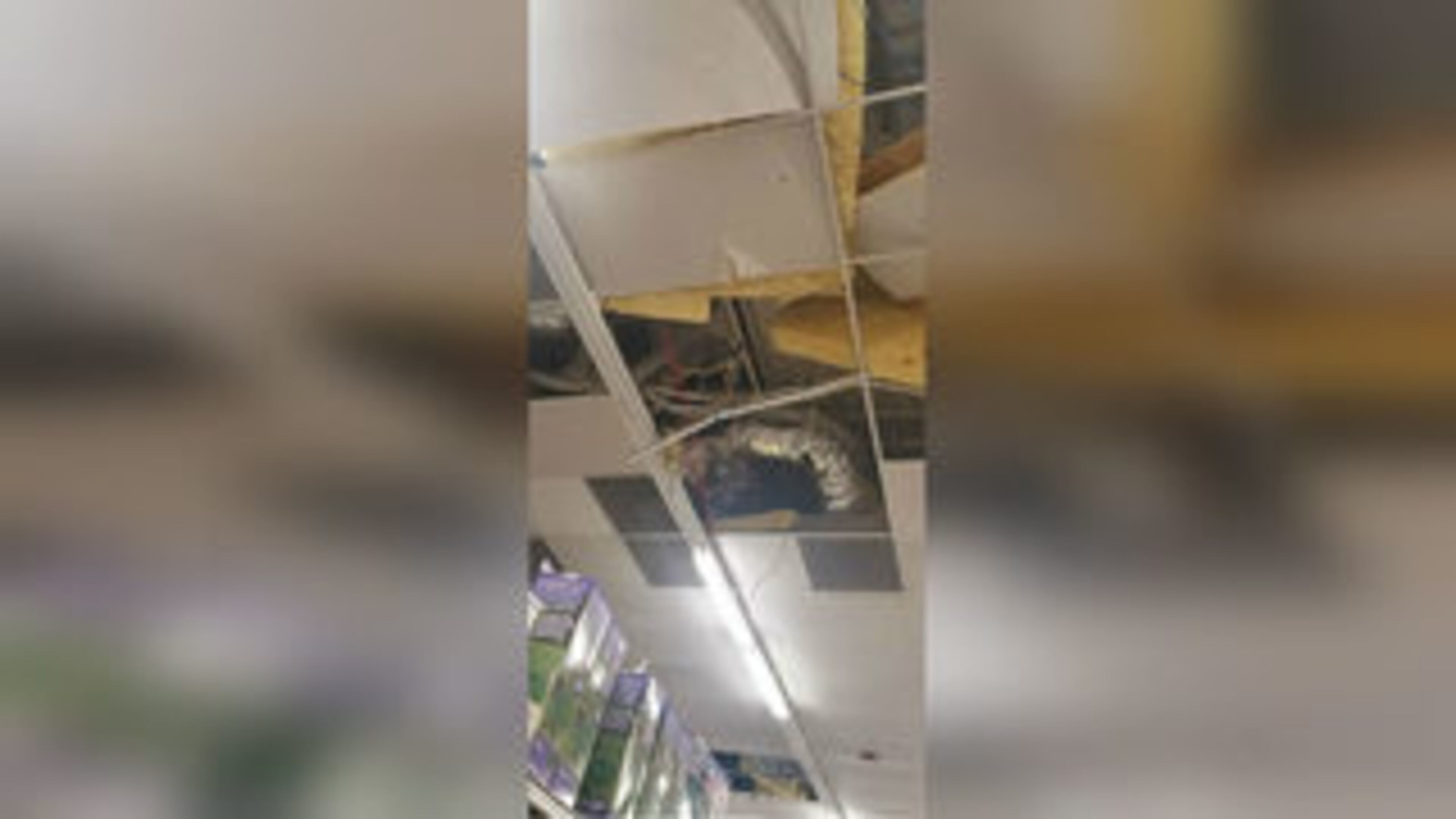 A Florida woman wanted for shoplifting tried to elude law enforcement by climbing along ceiling tiles inside a Big Lots department store.