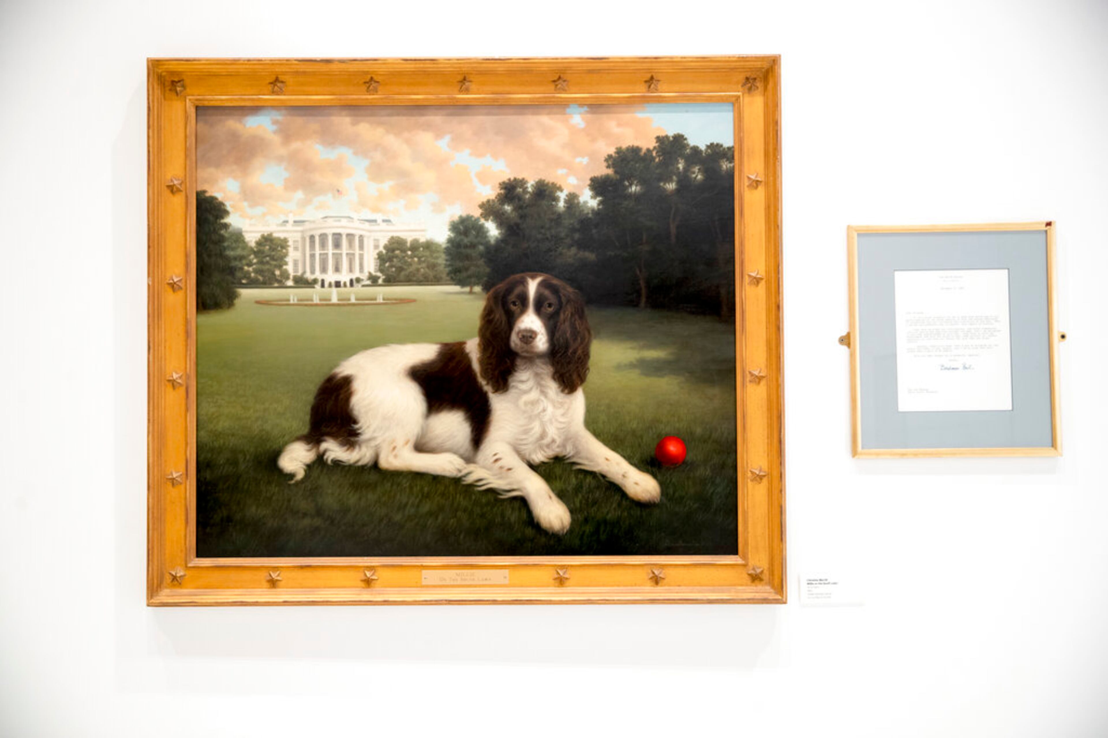This Wednesday, Jan. 9, 2019, photo shows "Millie on the South Lawn" by Christine Merrill, alongside a letter from former first lady Barbara Bush on display at the American Kennel Club Museum of the Dog in New York. The museum opens Feb. 8 in midtown Manhattan. (AP Photo/Mary Altaffer)