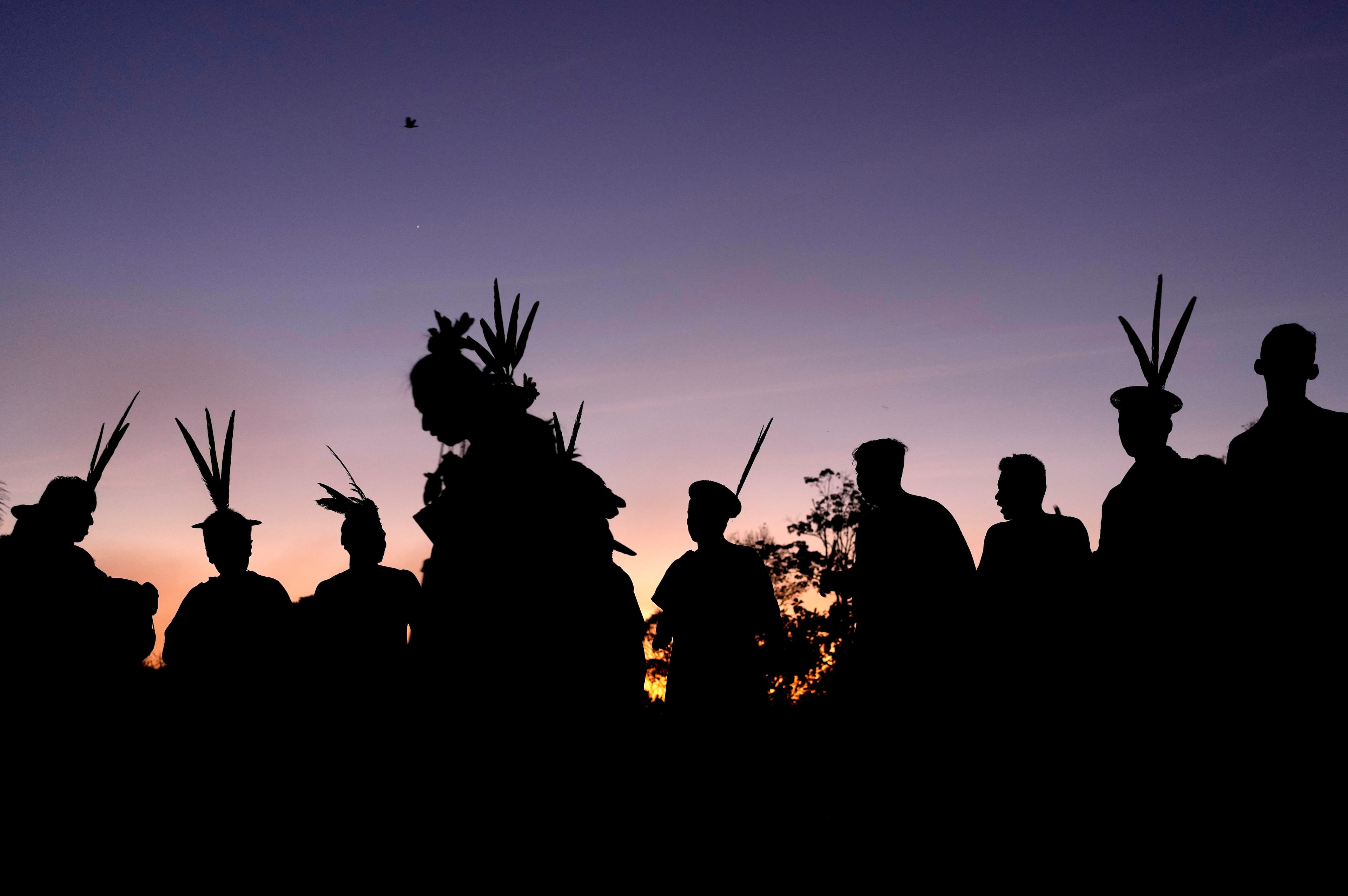 Brazil Amazon Indigenous Crime