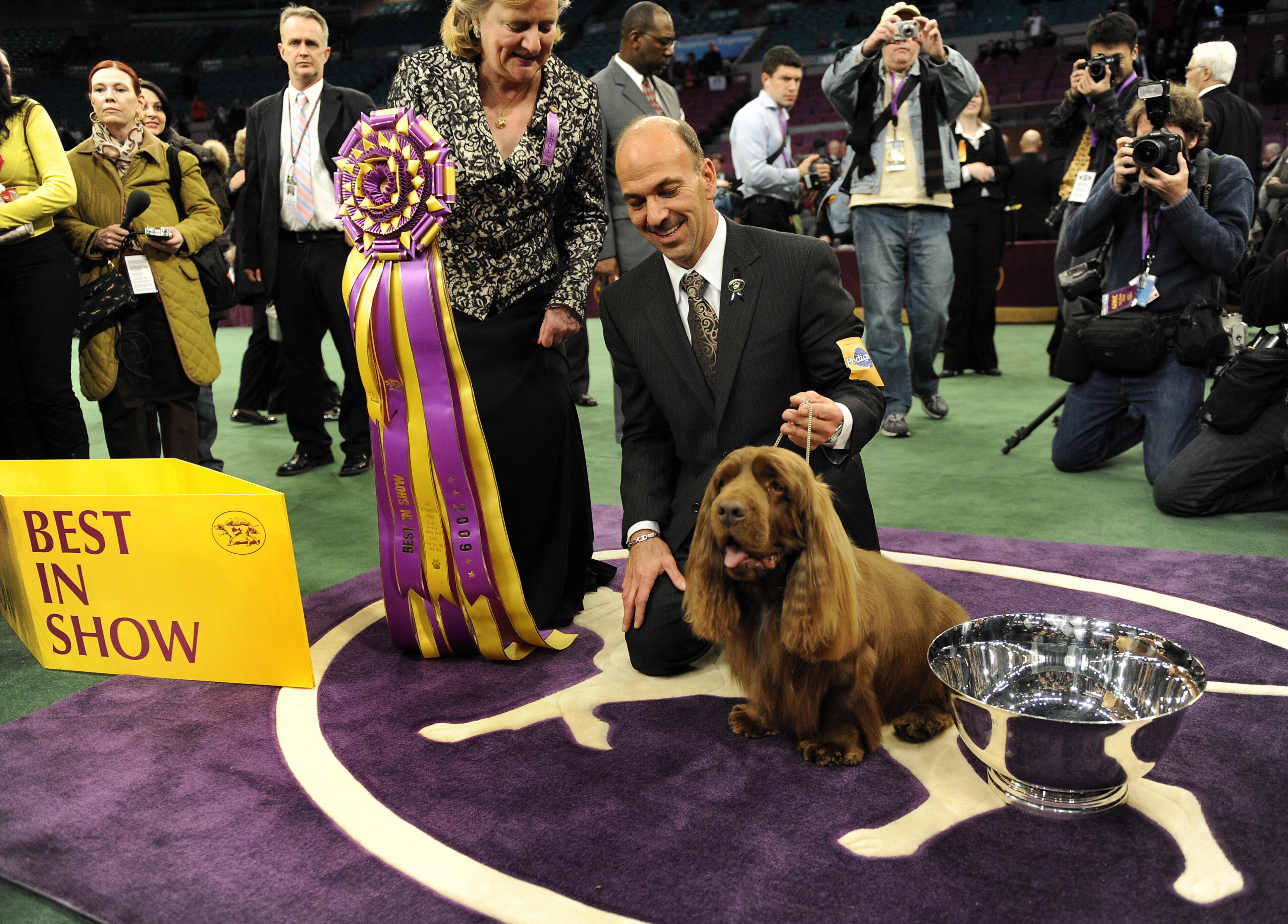 Handler Scott Sommer poses for pictures with Stump the Sussex Spaniel after winning "Best In Show" during the 2009 133rd Westminster Kennel Club dog show at Madison Square Garden in New York February 10, 2009. AFP PHOTO / TIMOTHY A. CLARY (Photo credit should read TIMOTHY A. CLARY/AFP/Getty Images)