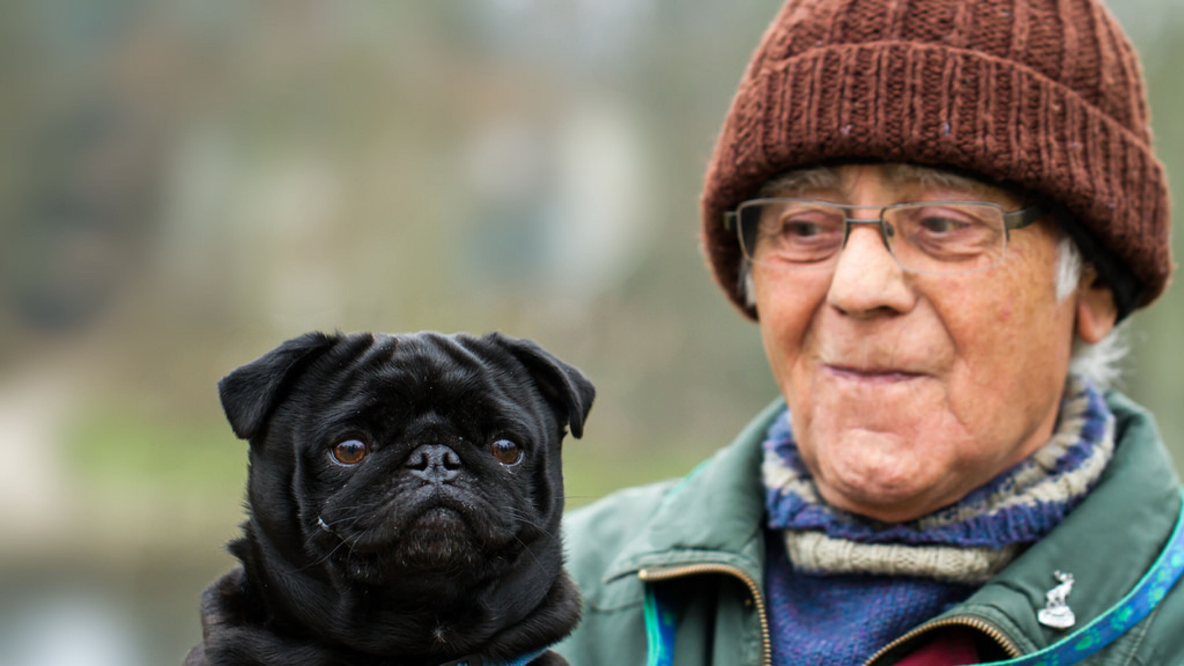 Meals on Wheels needs volunteers to help sort and deliver pet food.