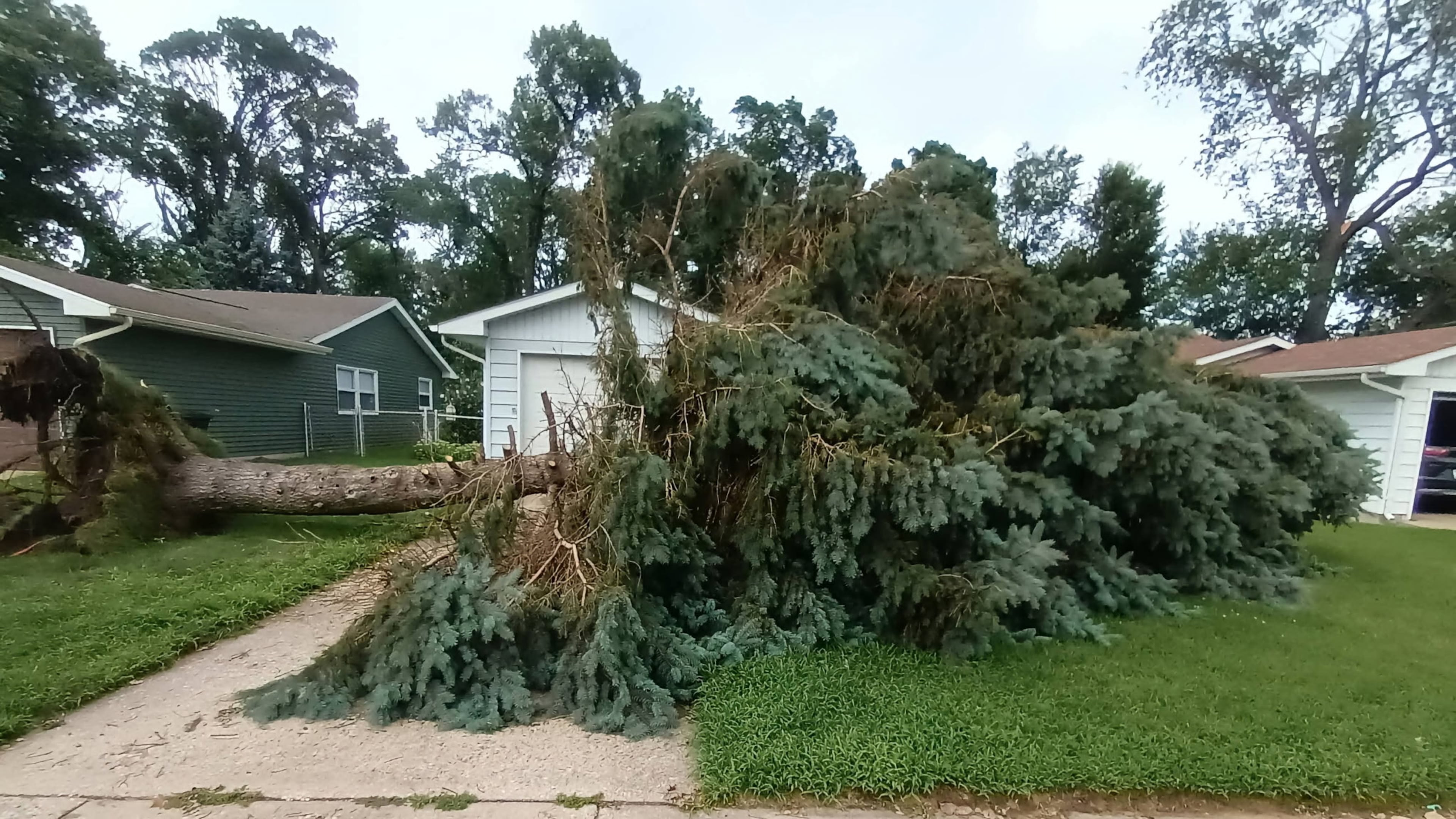 A downed tree in front of a house in Portage, Ind., on Tuesday, Aug. 18, 2026. (Jeremy Spurrier via AP)