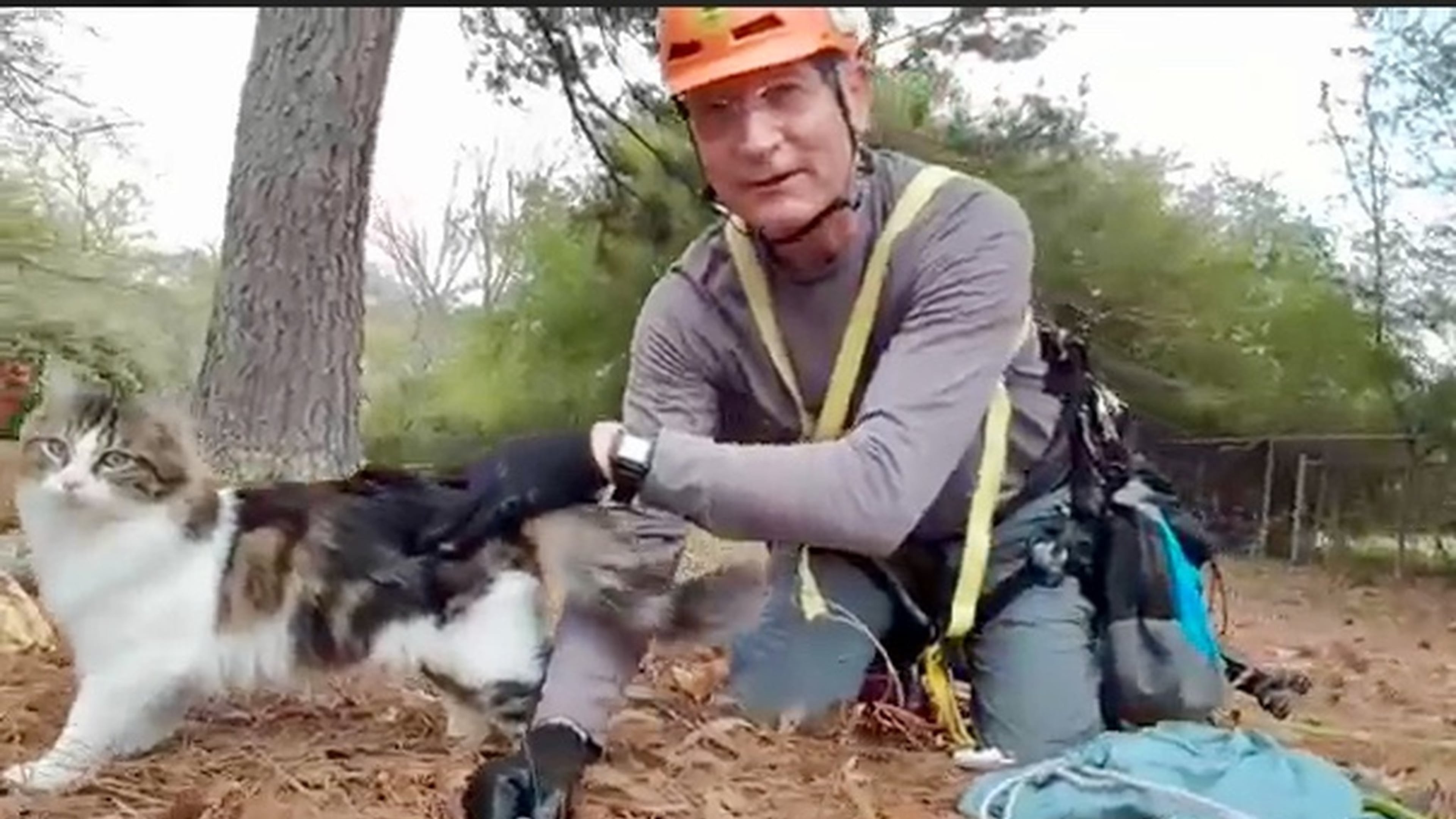 One owner of a rescued feline called Normer Adams a “cat whisperer.”