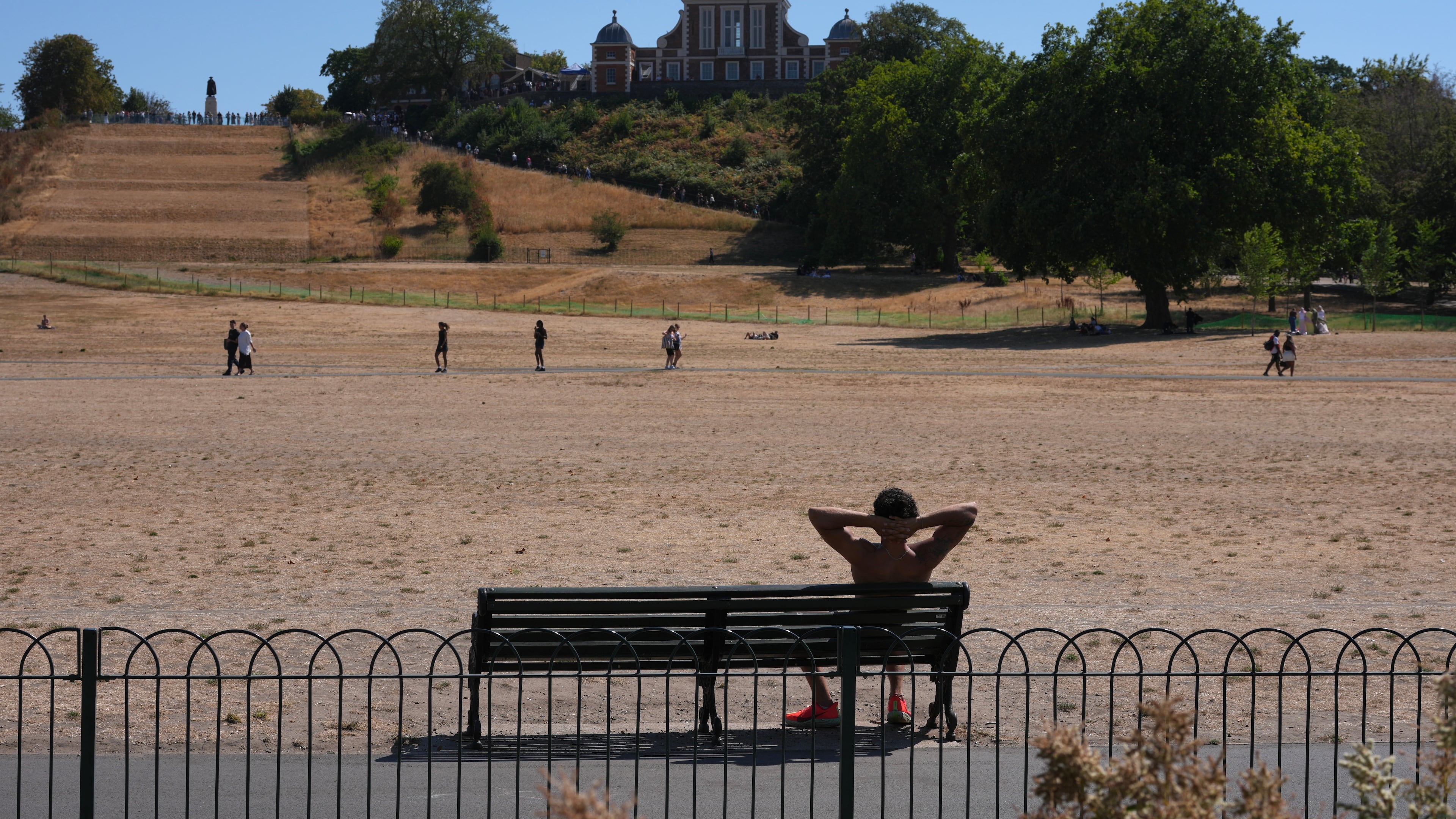 A man sits on a bench in Greenwich Park amid dried grass in London, Tuesday, Aug. 11, 2026. (AP Photo/Kin Cheung)