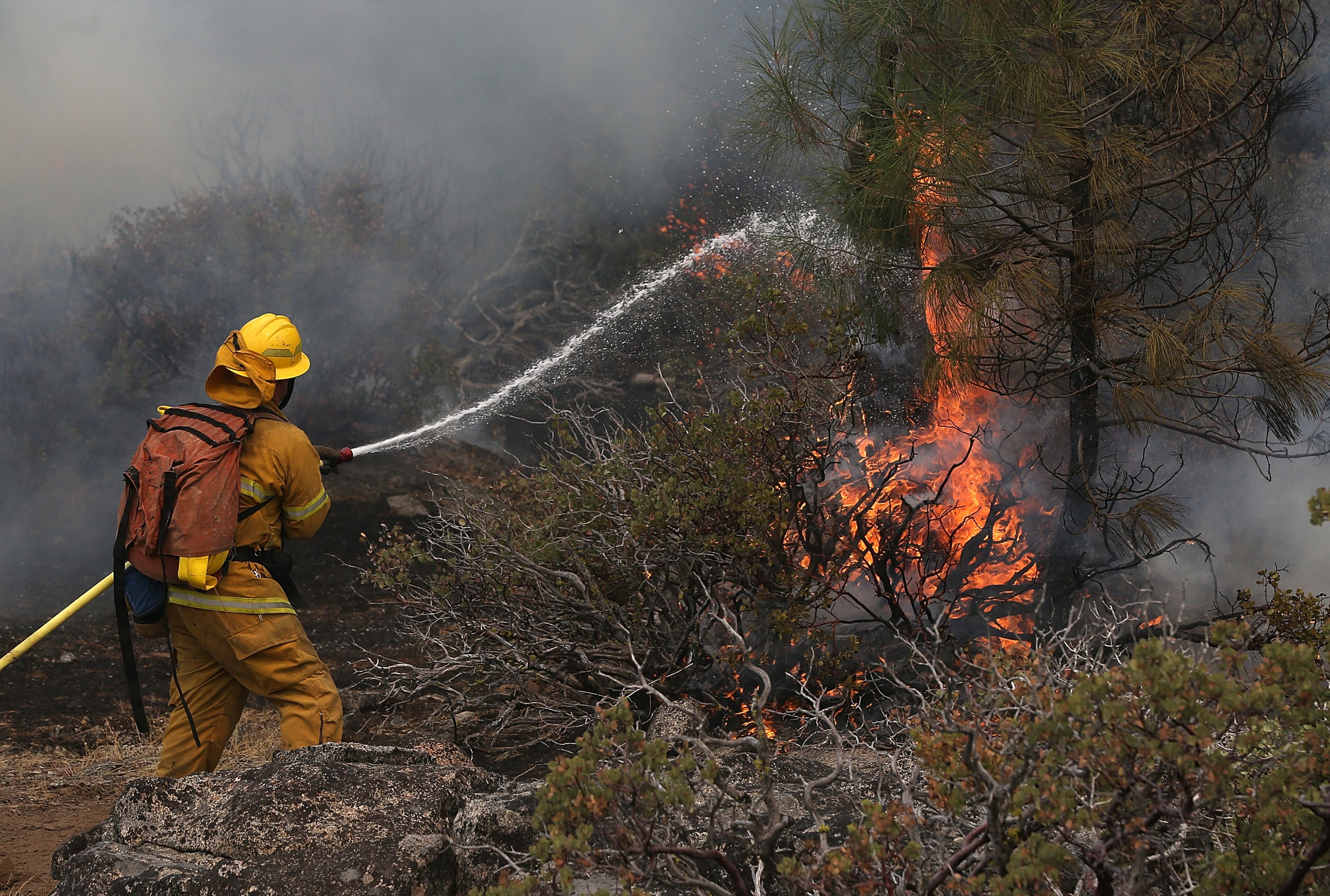 YOSEMITE NATIONAL PARK, CA - AUGUST 24: A firefighter uses a hose to douse a spot fire while battling the Rim Fire on August 24, 2013 in Yosemite National Park, California. The Rim Fire continues to burn out of control and threatens 4,500 homes outside of Yosemite National Park. Over 2,000 firefighters are battling the blaze that has entered a section of Yosemite National Park and is currently 5 percent contained. (Photo by Justin Sullivan/Getty Images)
