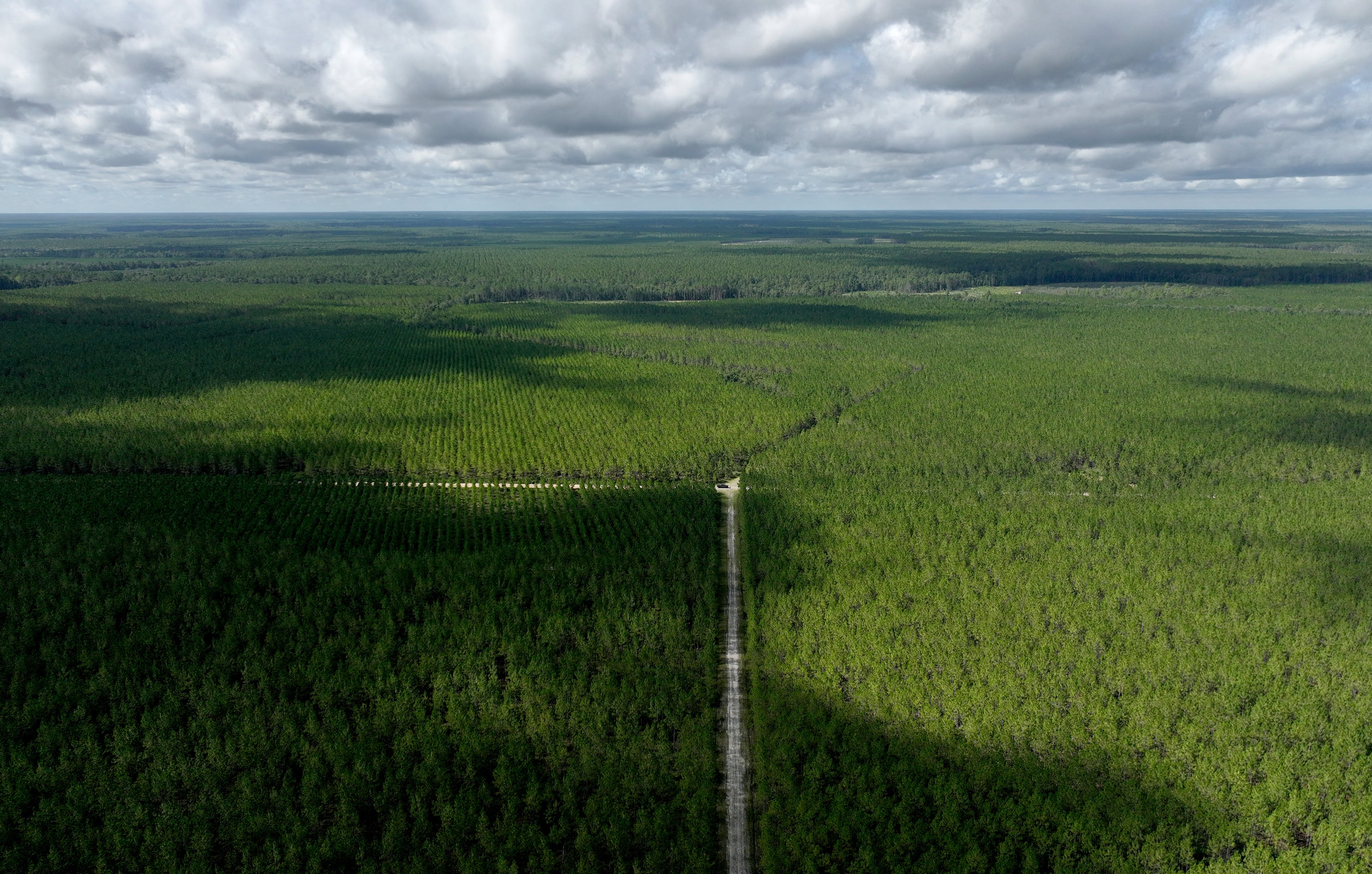 Aerial photo showing Toledo Manufacturing Company's land (foreground) and the Okefenokee Swamp (background) on Monday, August 11, 2025. (Hyosub Shin / AJC)