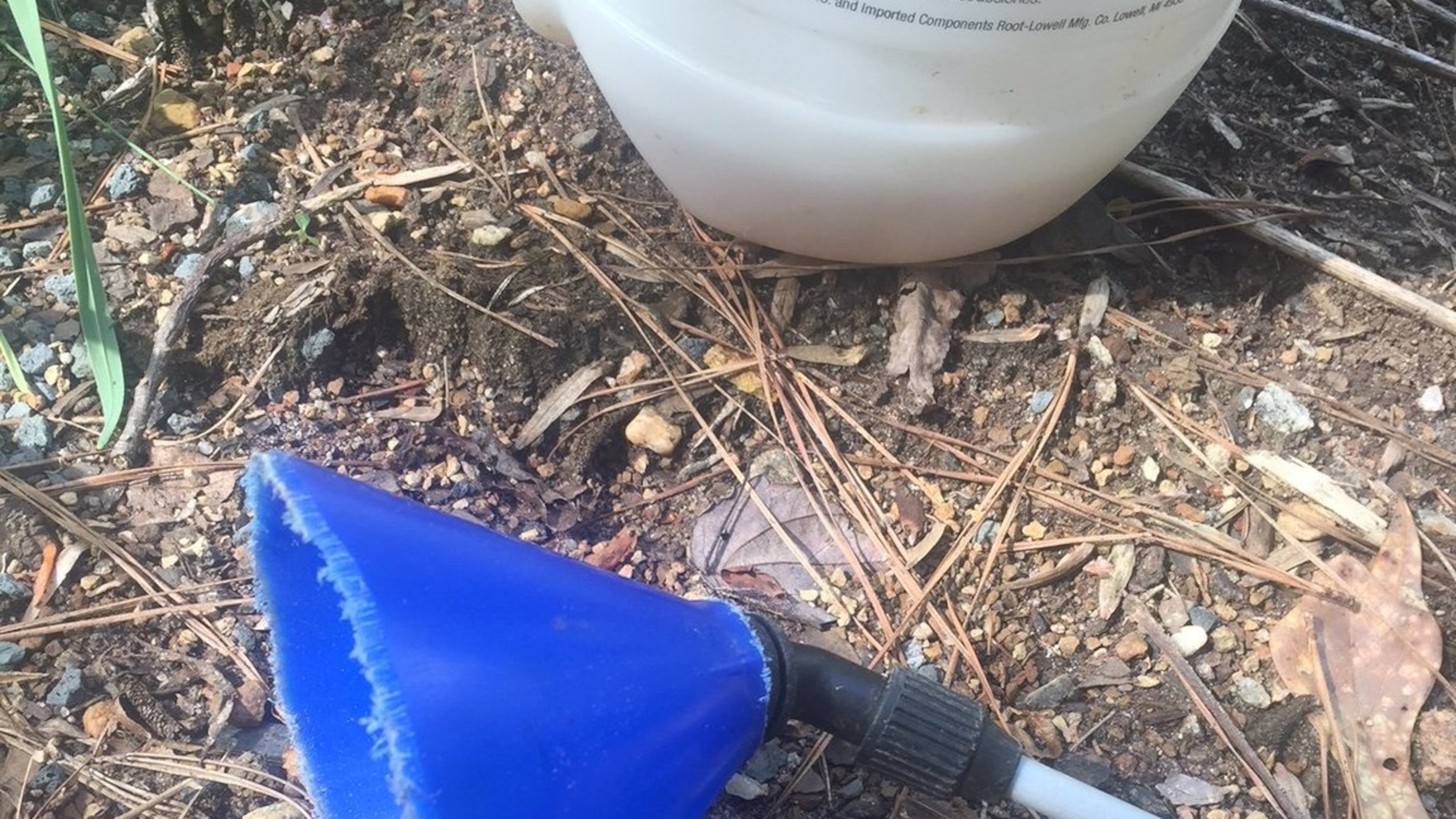 Use a plastic funnel to make a spray shield to protect plants from pesticides. WALTER REEVES