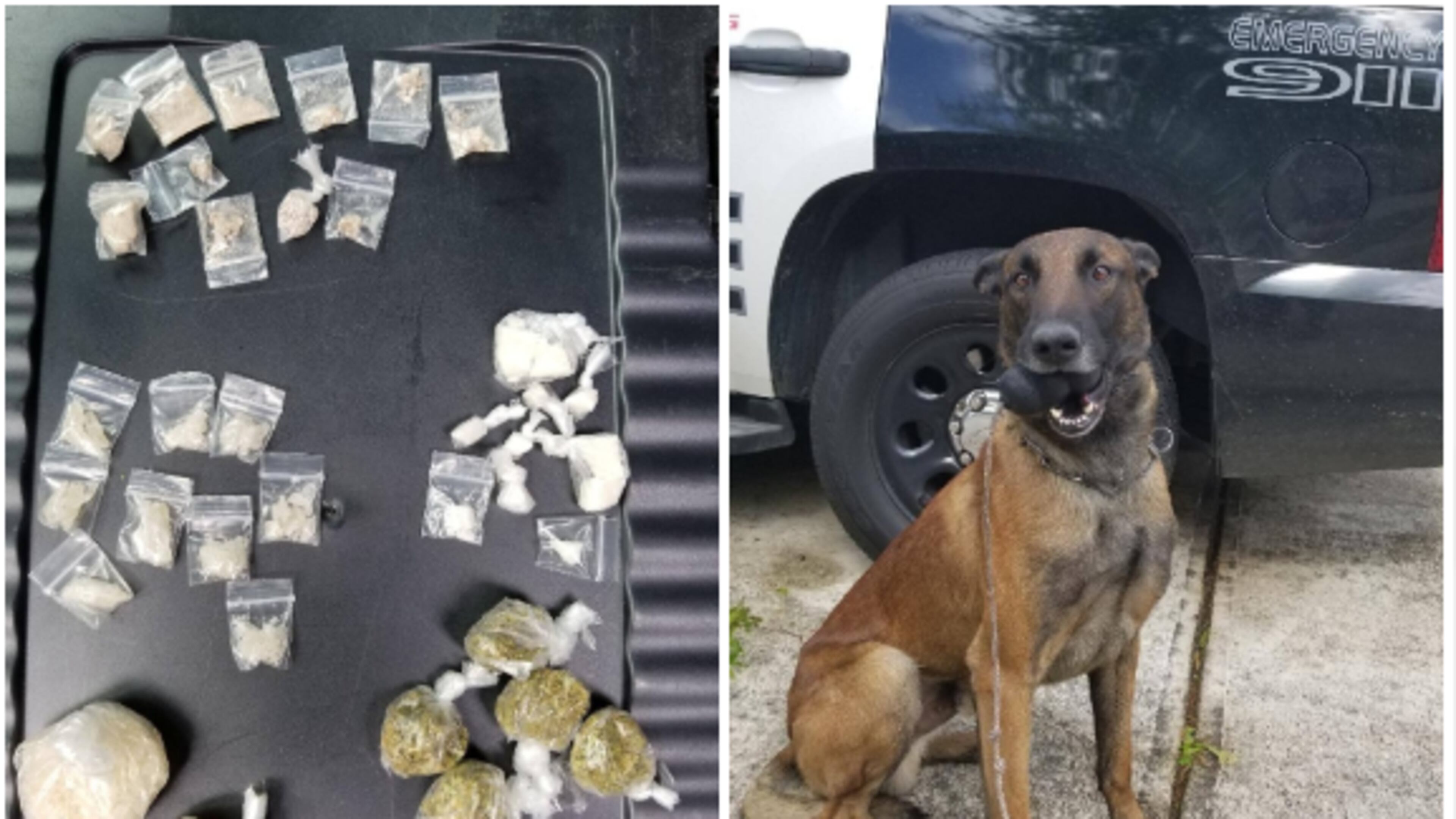 On the left are drugs allegedly found in a car. On the right is Apex, a Marietta K-9 who cops say found the drugs.