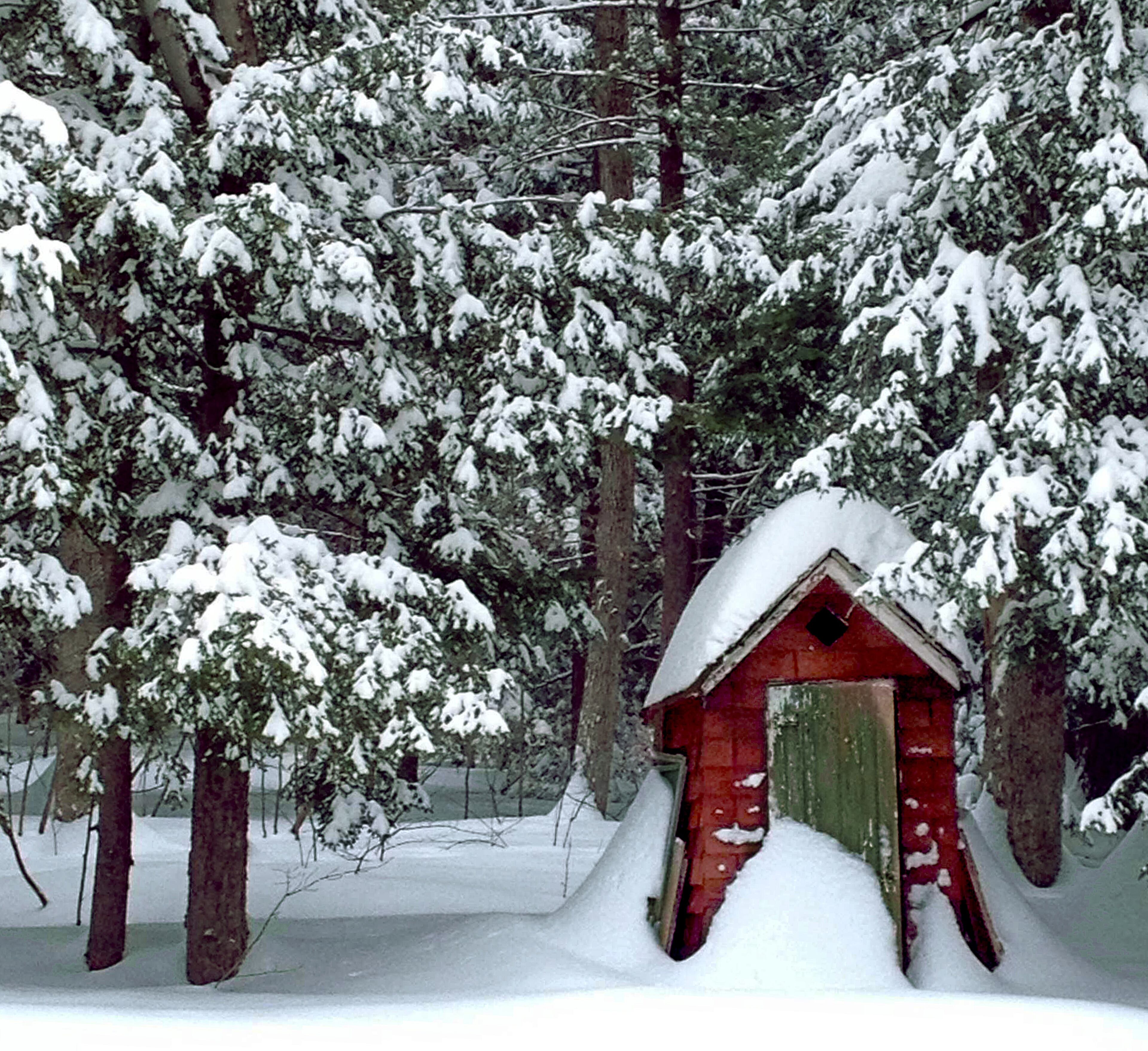 2. Schenectady, N.Y. Percentage potentially cheating: 16.9% (Source: RoadSnacks.net) Pictured: Snow covers a red outhouse at the Gardner residence in Rotterdam, N.Y., Tuesday, Feb. 10, 2015. Rotterdam is a town in Schenectady County, N.Y.