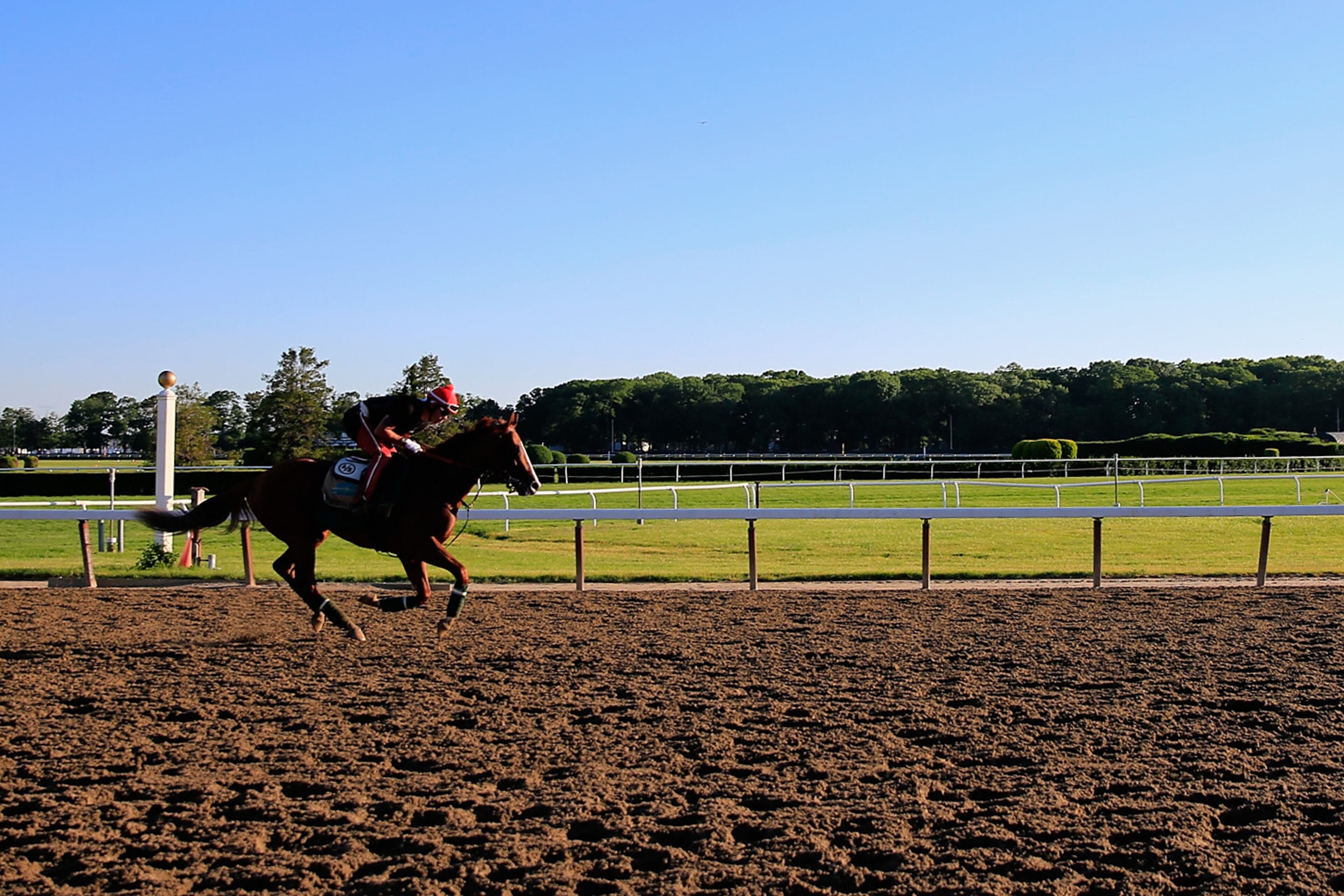 ELMONT, NY - JUNE 06: Kentucky Derby and Preakness winner California Chrome, with exercise rider Willie Delgado up, goes over the track in preparation for the 146th running of the Belmont Stakes at Belmont Park on June 6, 2014 in Elmont, New York. (Photo by Rob Carr/Getty Images)