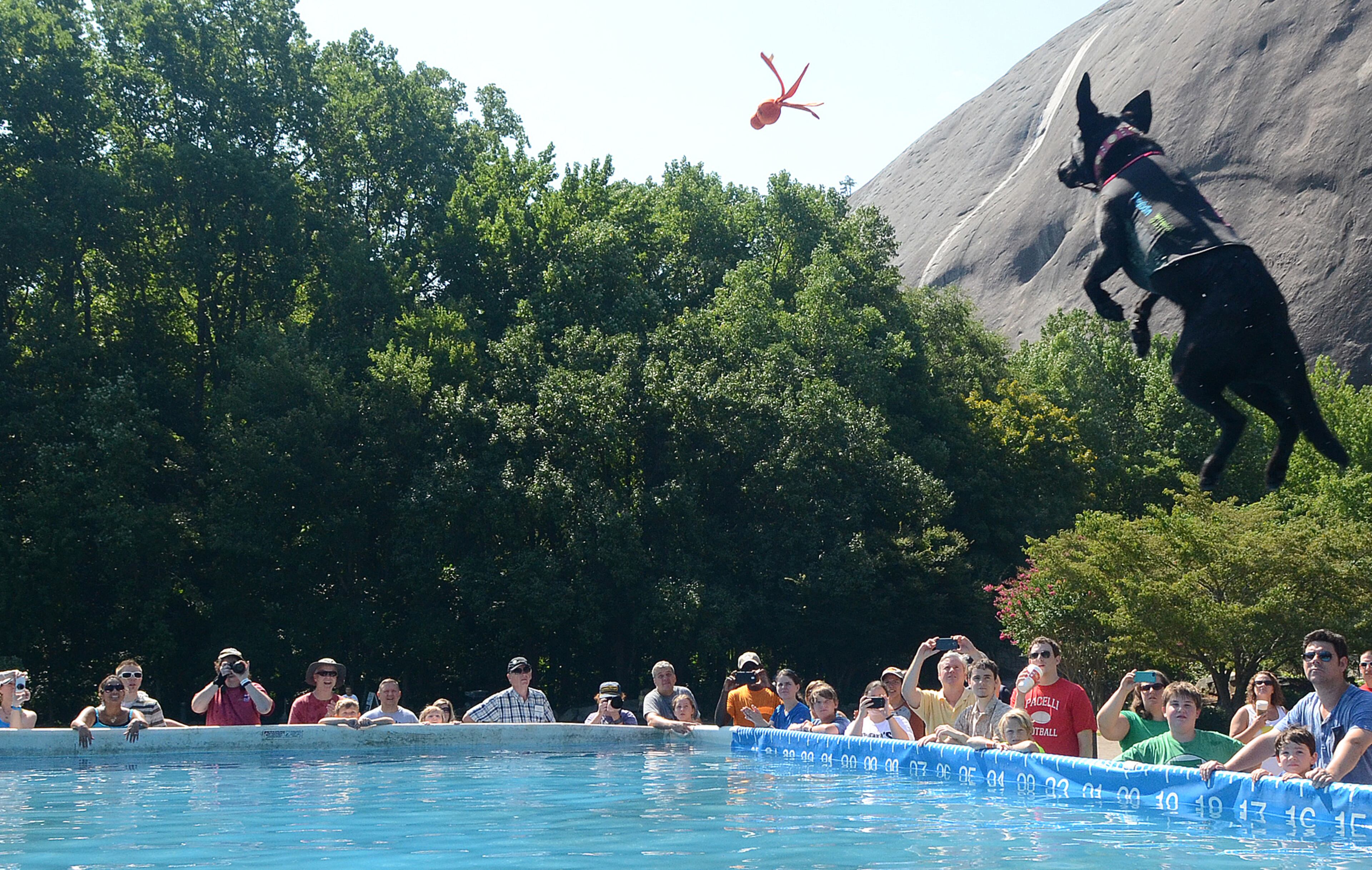 Brie makes one of the longest jumps of the day at 23 fee, 4 inches during practice rounds and Big Air Wave competition of the DockDogs World Championship Qualifying event at Stone Mountain Park on Saturday. (CHRIS HUNT/SPECIAL)