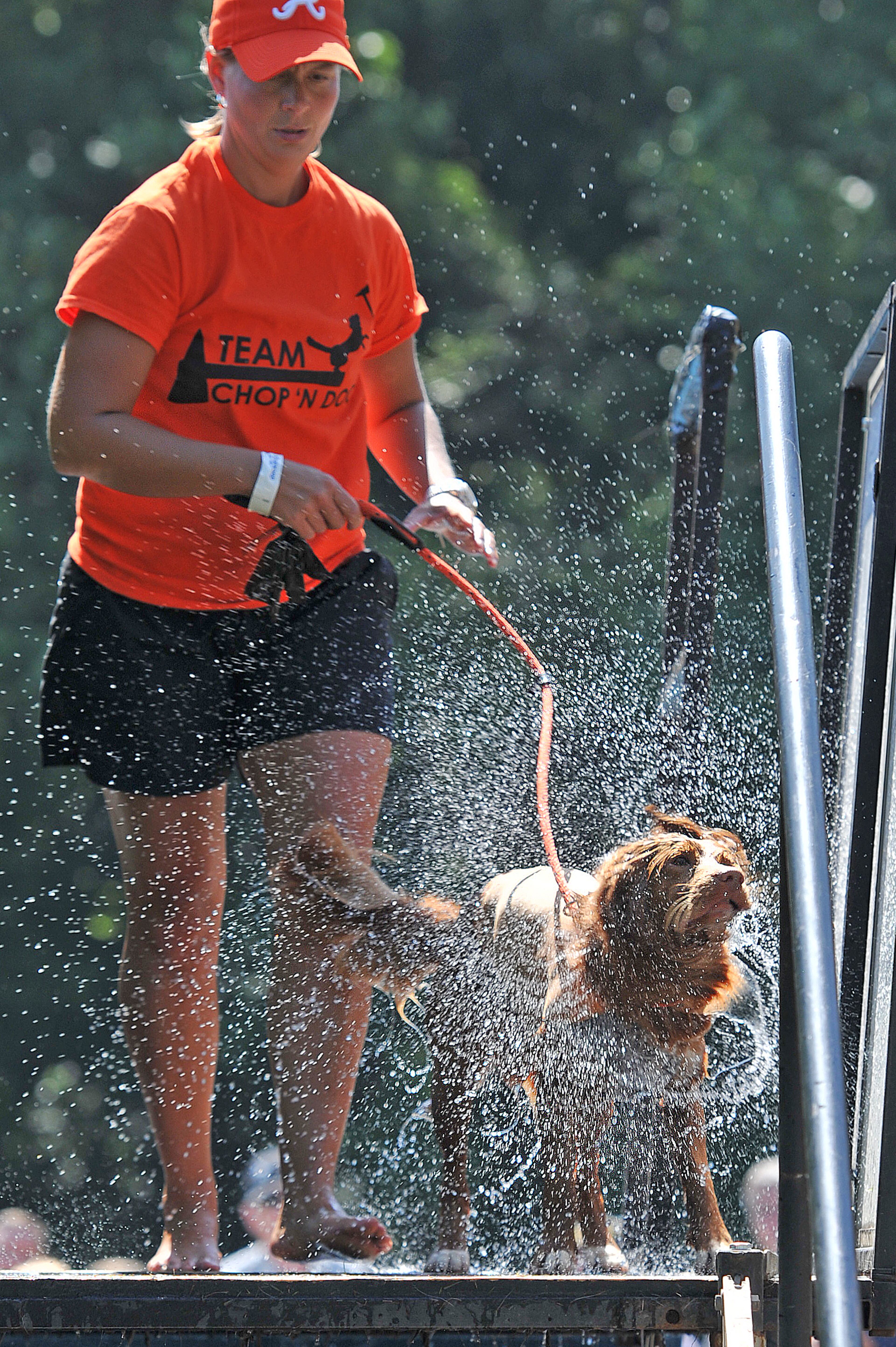 After the leap comes the spin cycle, as Chief dries off with owner Christine Cooper at the DockDogs World Championship Qualifying event at Stone Mountain Park on Saturday. (CHRIS HUNT/SPECIAL)