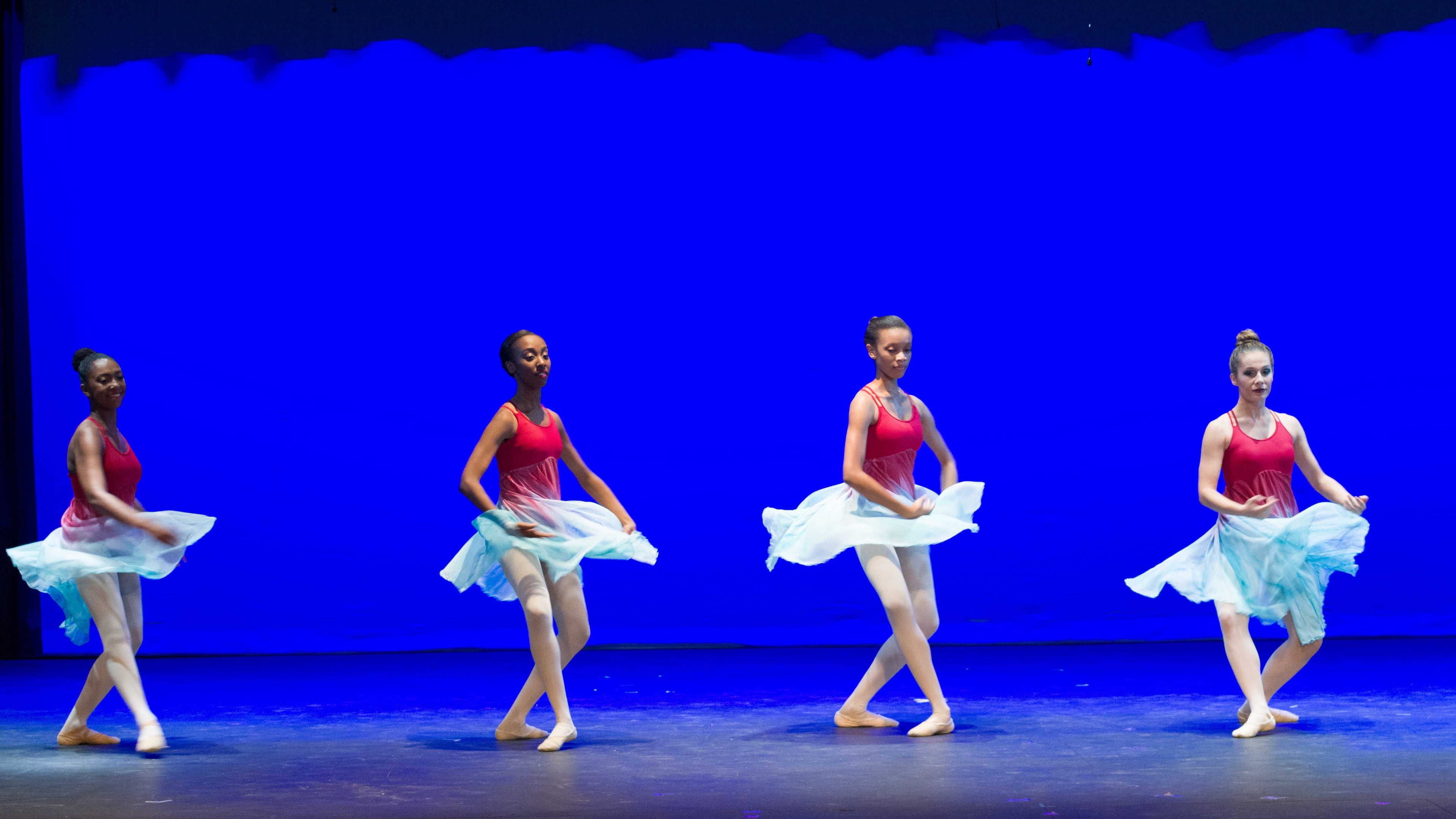 DeKalb School of the Arts is one of many schools students can apply to attend during the district's open enrollment period. On-time applications are due back by Feb. 4.