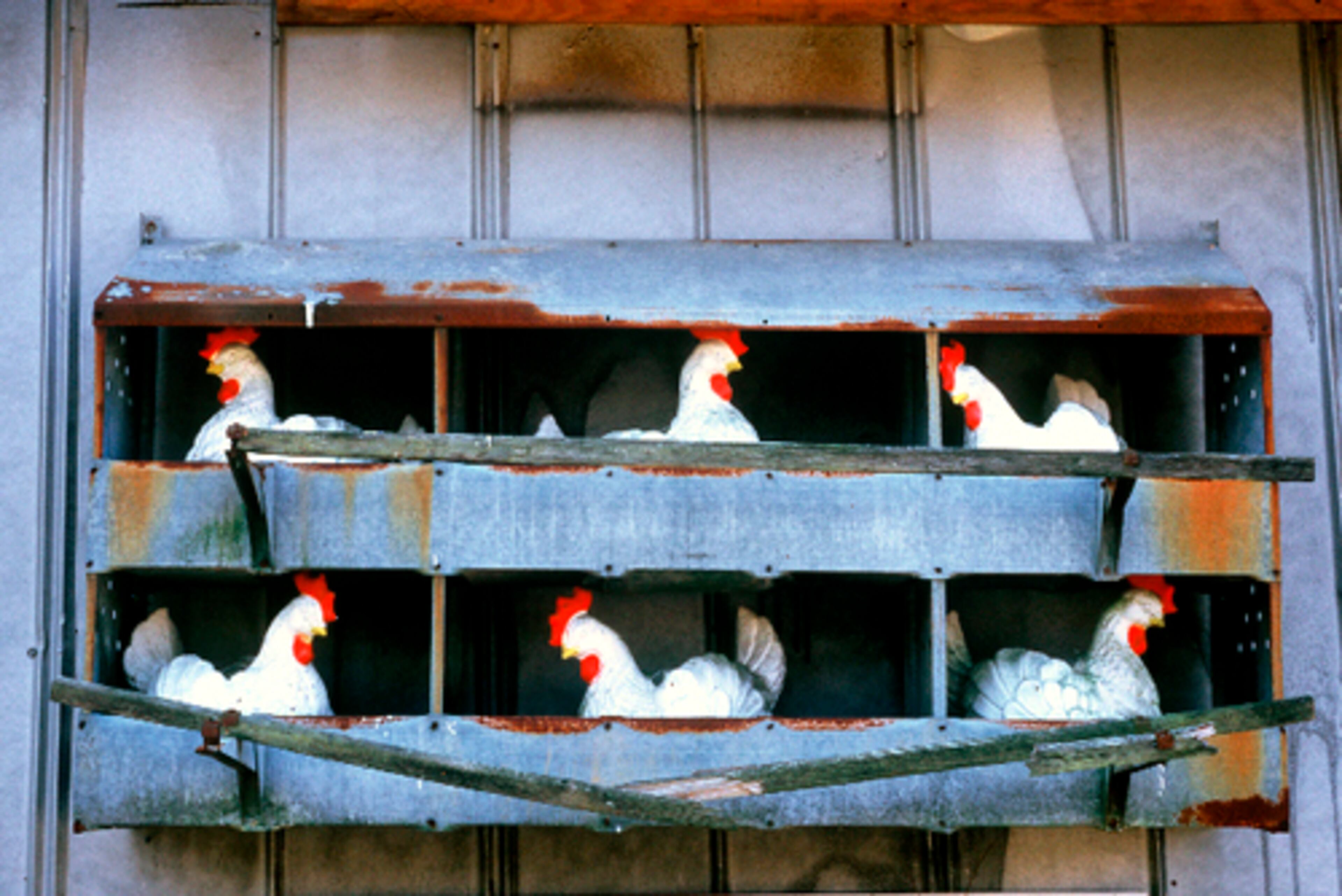 "Road Side Attraction, Zebulon, GA"