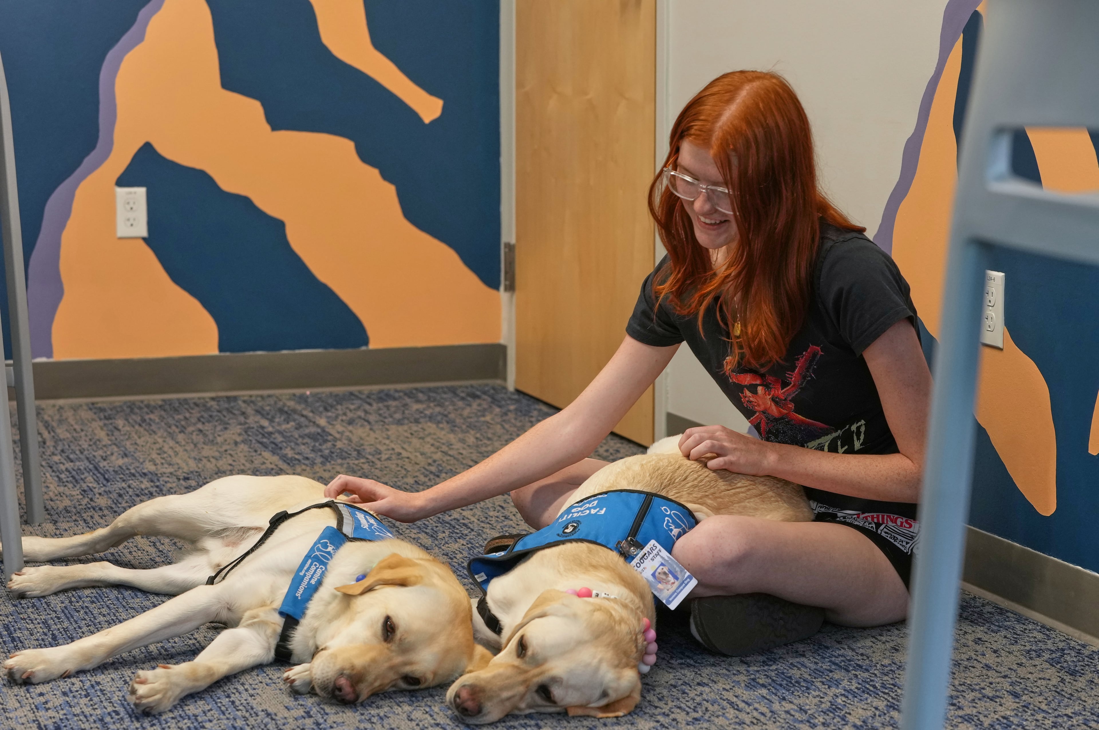 Trauma Dogs School Shooting
