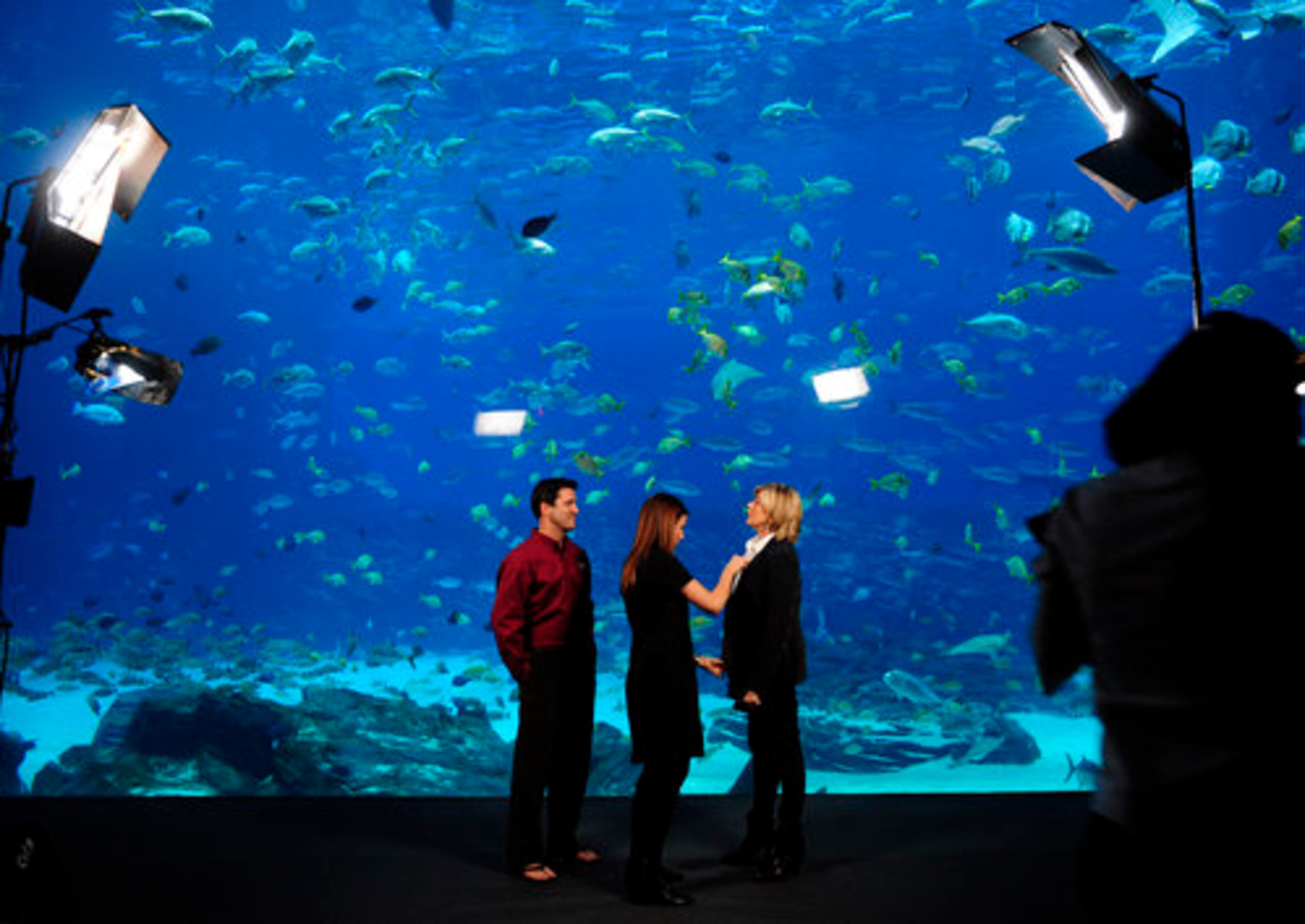 Stewart gets some polishing for the camera before appearing with the aquarium's chief animal officer and senior vice president of husbandry, Billy Hurley.