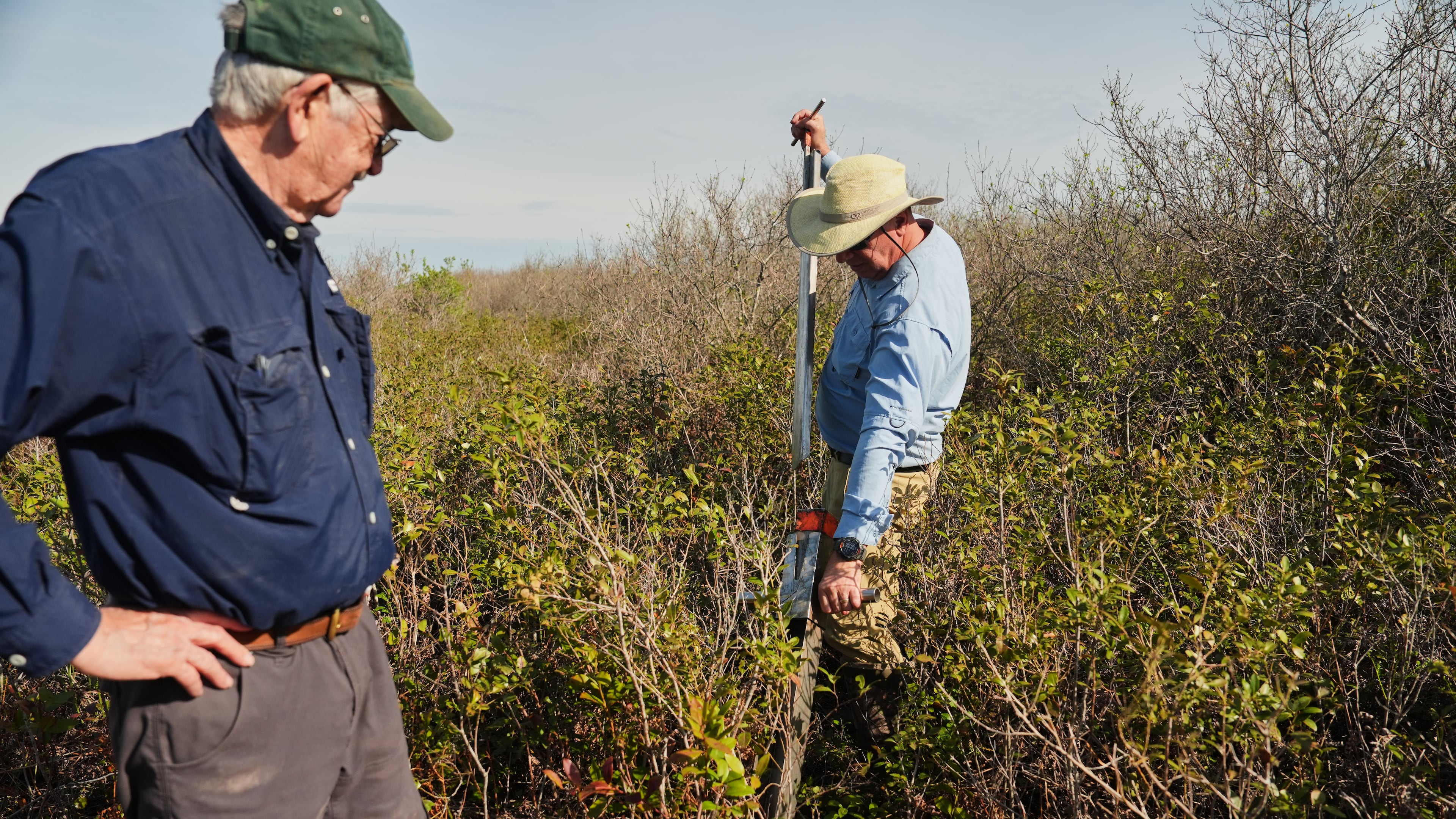 Neal Flanagan, right, a research scientist at Duke University, uses a tool to take a soil sample from a peatland as Curt Richardson, an ecology professor at Duke, observes Wednesday, May 6, 2026, in Belhaven, N.C. (AP Photo/Joshua A. Bickel)