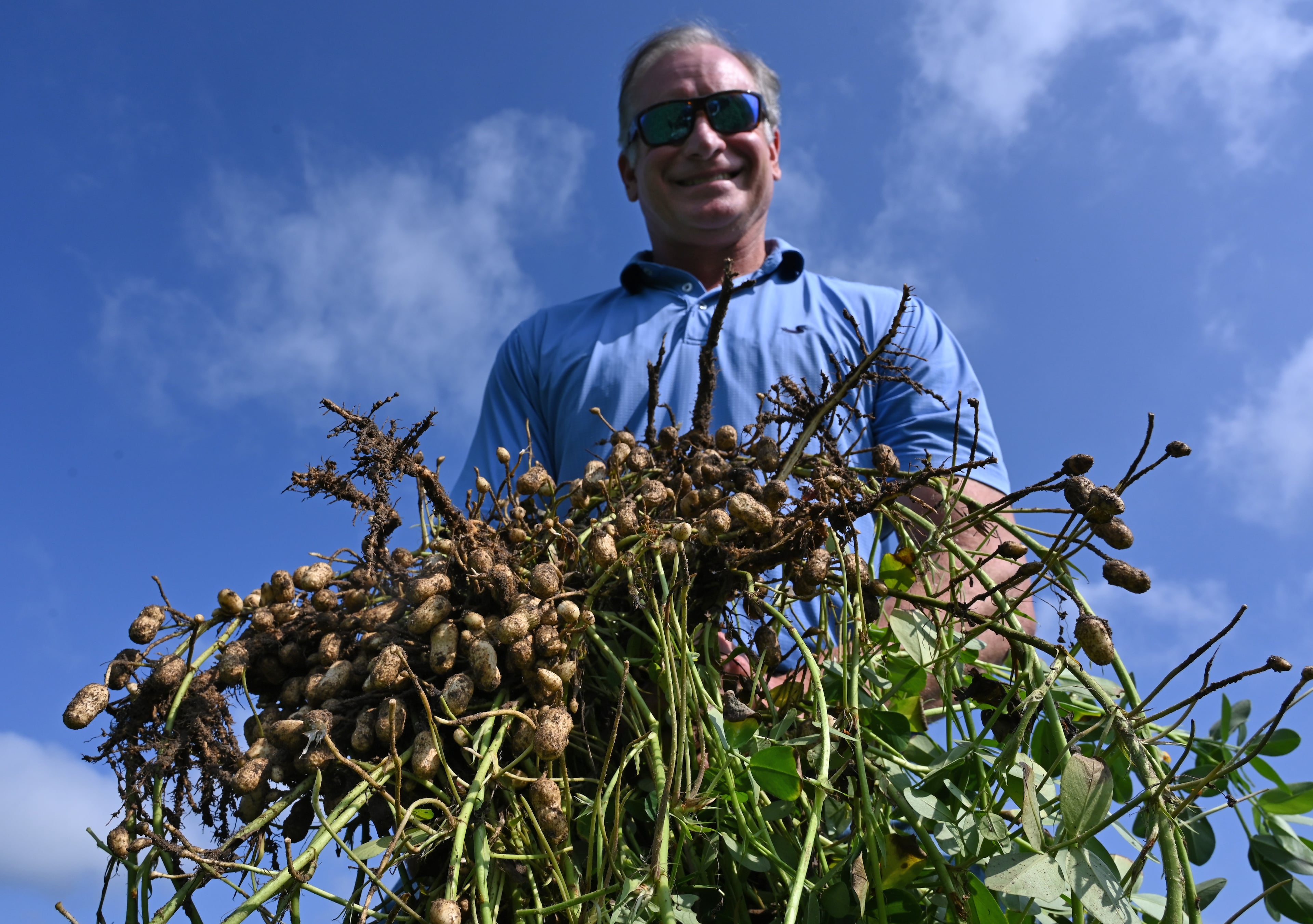 Farmer Ken Hardy shows off a bunch of freshly pulled peanuts in a field in Pulaski County near Hawkinsville. (Hyosub Shin/AJC)