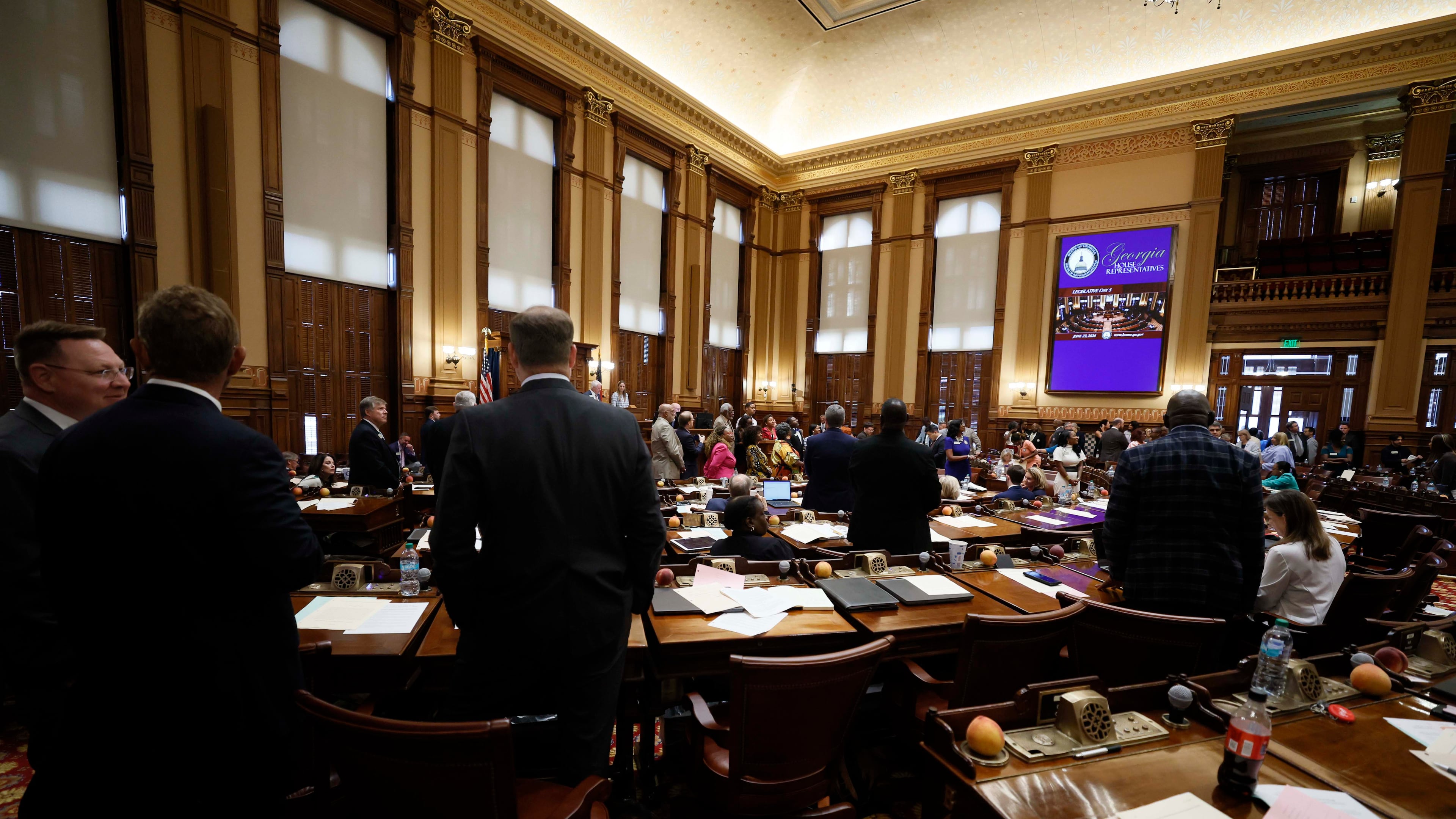 Members of the State House of Representatives on the final day of a special legislative session at the Capitol on Tuesday, June 23, 2026. (Miguel Martinez/AJC)