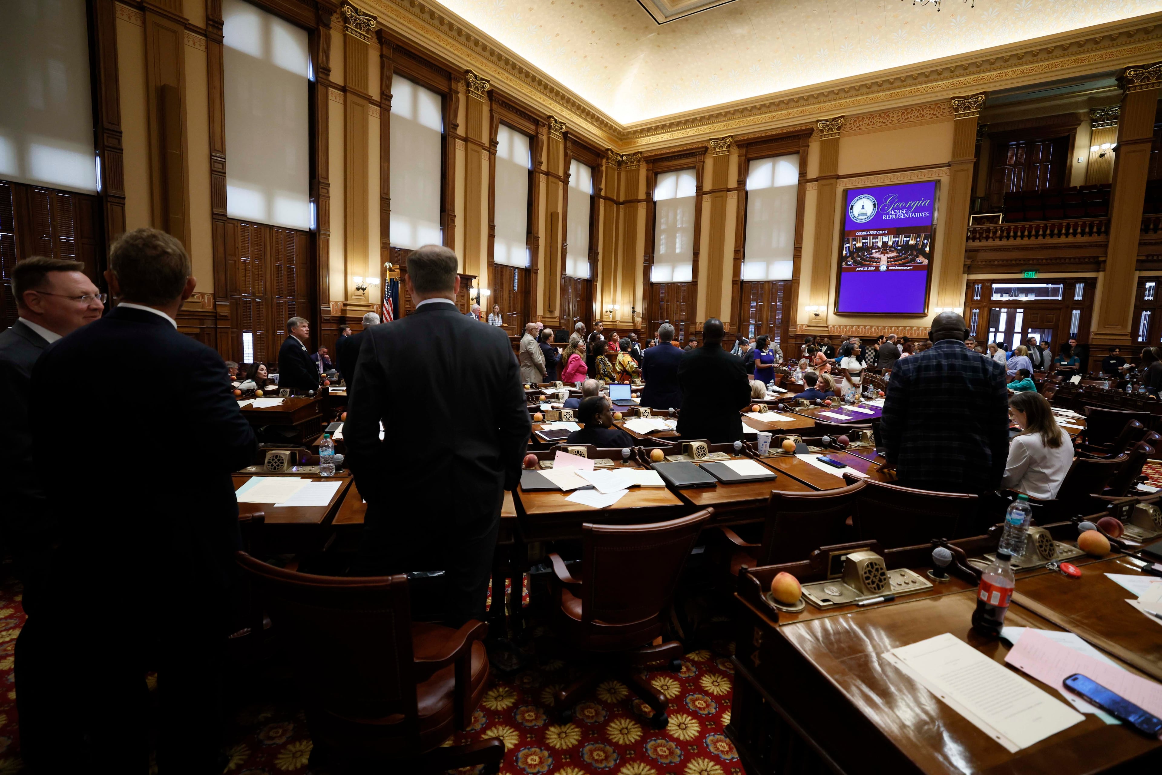 Members of the State House of Representatives on the final day of a special legislative session at the Capitol on Tuesday, June 23, 2026. (Miguel Martinez/AJC)