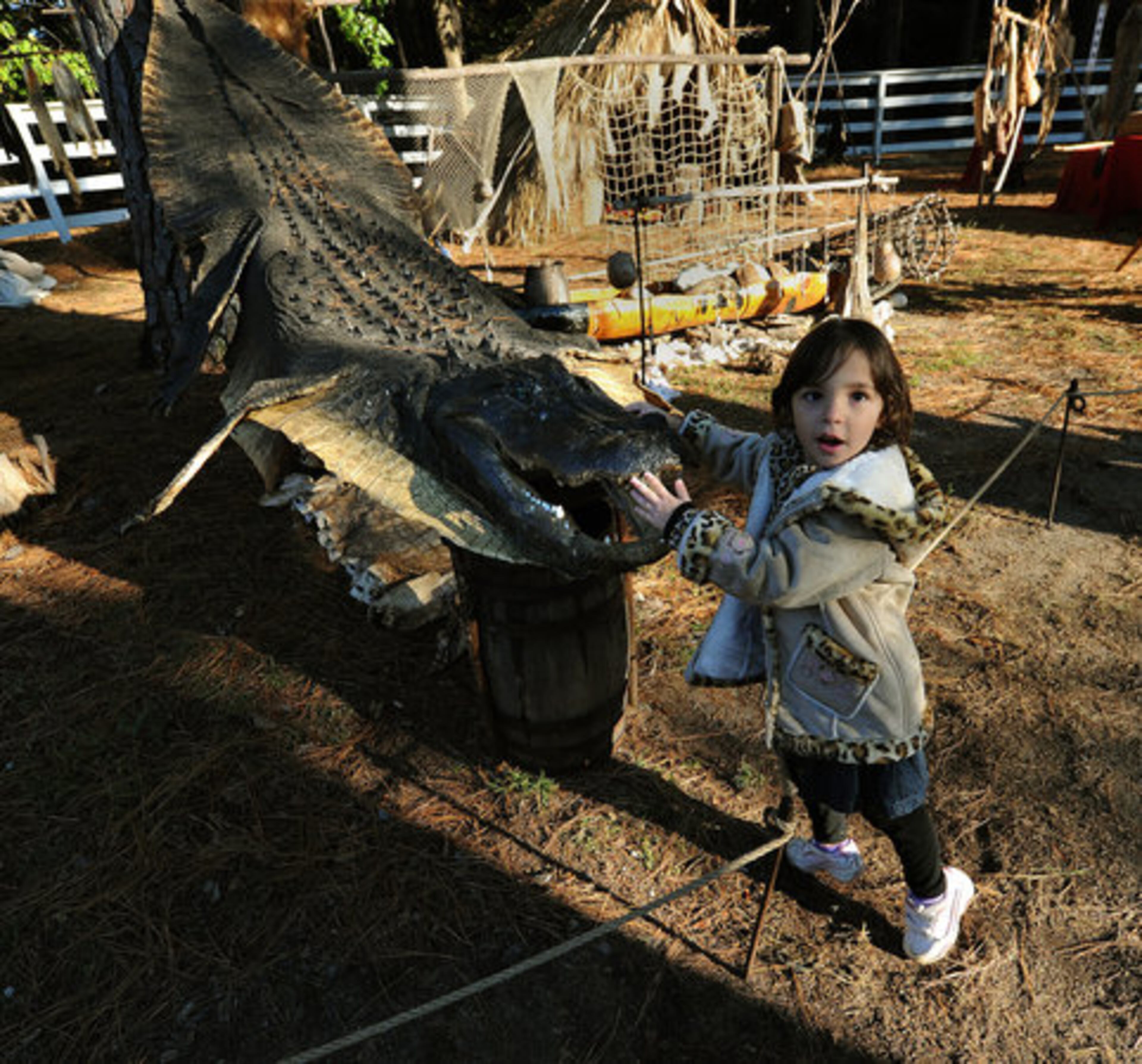 Savannah Talley, 4, Gainesville, GA, touches the large alligator hide during the 11th Annual Indian Festival and Pow-Wow at Stone Mountain Park on Saturday, Nov 6, 2010. Over 20,000 people will attended the four day event which ends on Sunday.