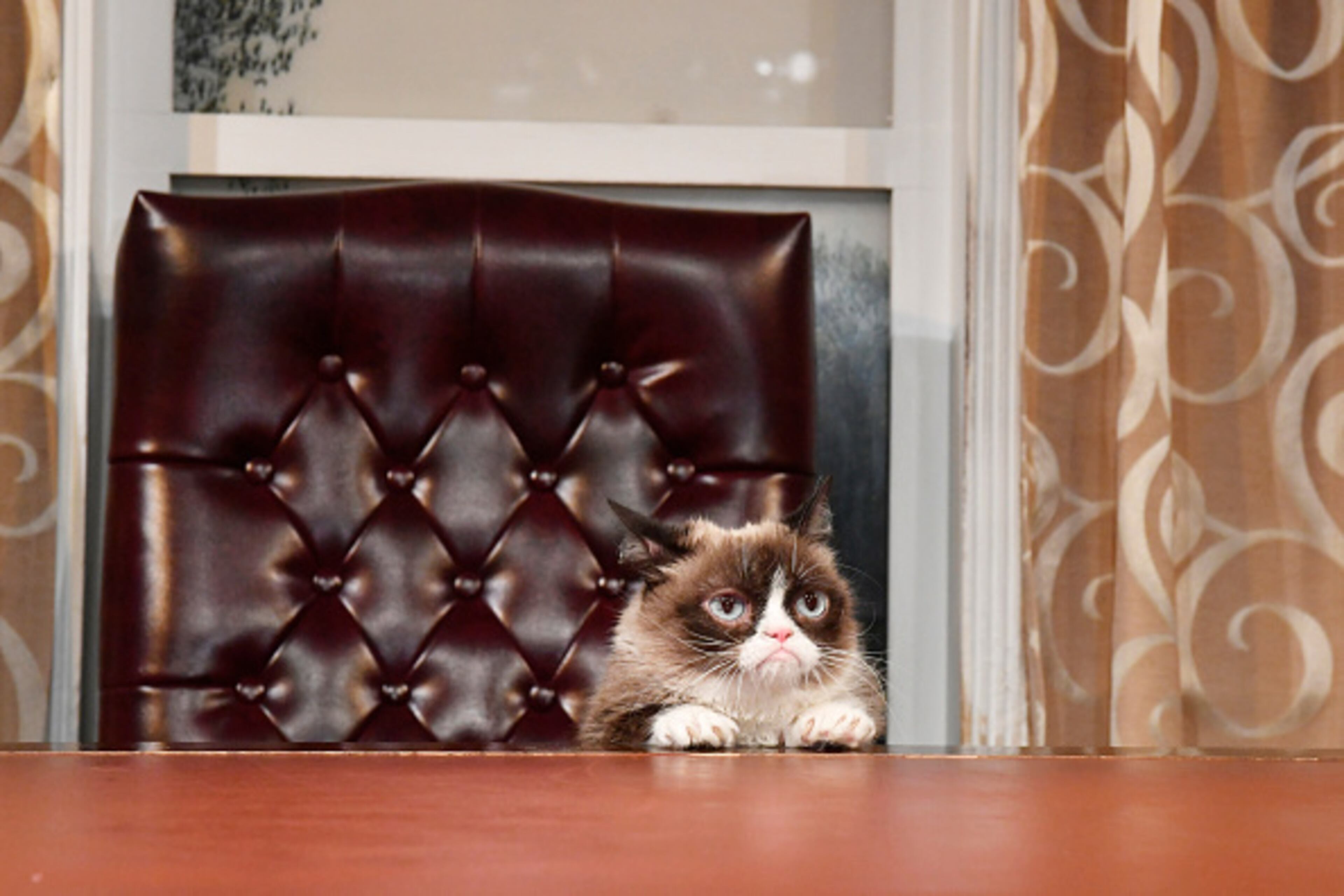 WASHINGTON, DC - SEPTEMBER 28: Internet phenomenon Grumpy Cat brings her iconic "No Face" to Madame Tussauds Washington, DC for a meet-and-greet with fans at Madame Tussauds on September 28, 2016 in Washington, DC. (Photo by Larry French/Getty Images for Getty Images for Madame Tussauds)