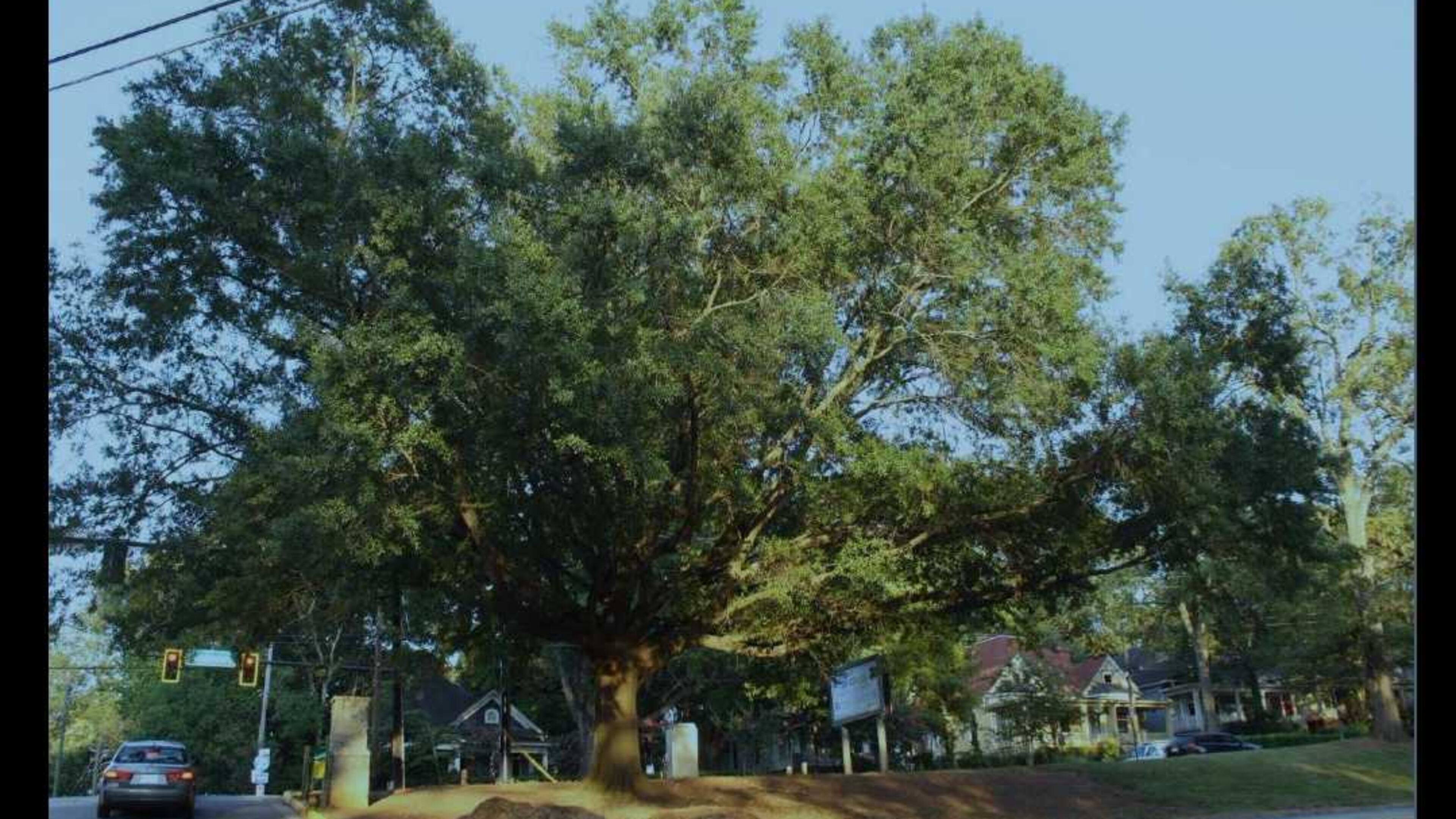 A parking lot on the Boulevard side of Grant Park that offers around 500 spots for park and Zoo Atlanta visitors has closed this week and will remain closed for 18 months due to construction of a new parking garage.