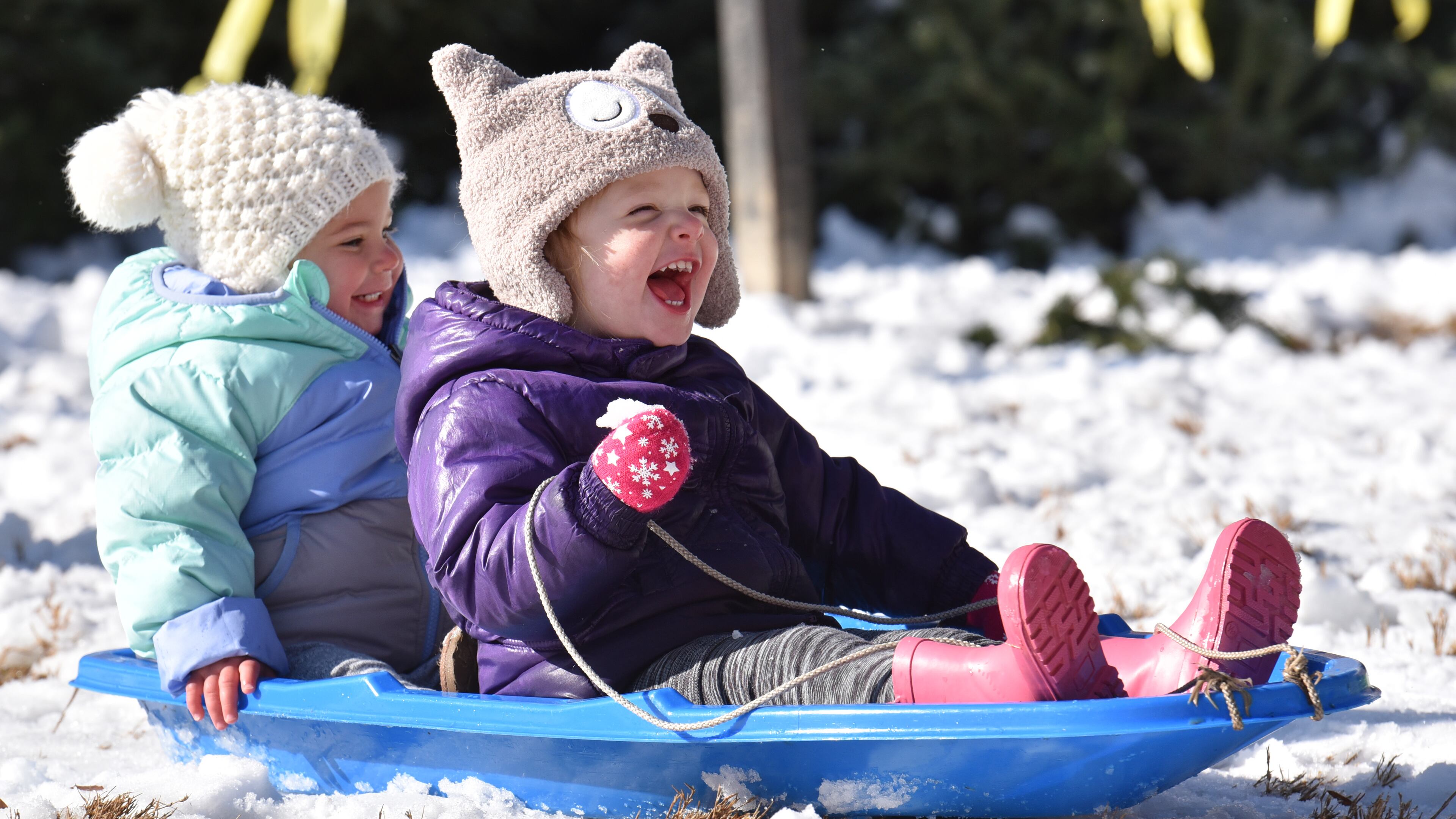 December 9, 2017 Decatur - Nora Joiner (right), 2, and Norah Knight, 2, make their way down the hill in Decatur on Saturday, December 9, 2017. HYOSUB SHIN / HSHIN@AJC.COM