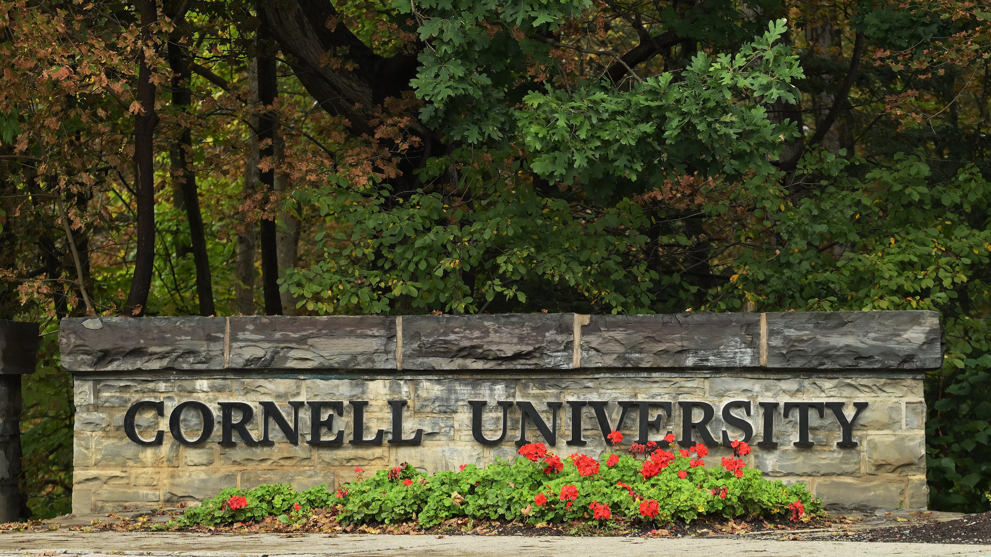 A Cornell University sign stands in Ithaca, N.Y., Monday, Sept. 28, 2026. (AP Photo/Heather Ainsworth)