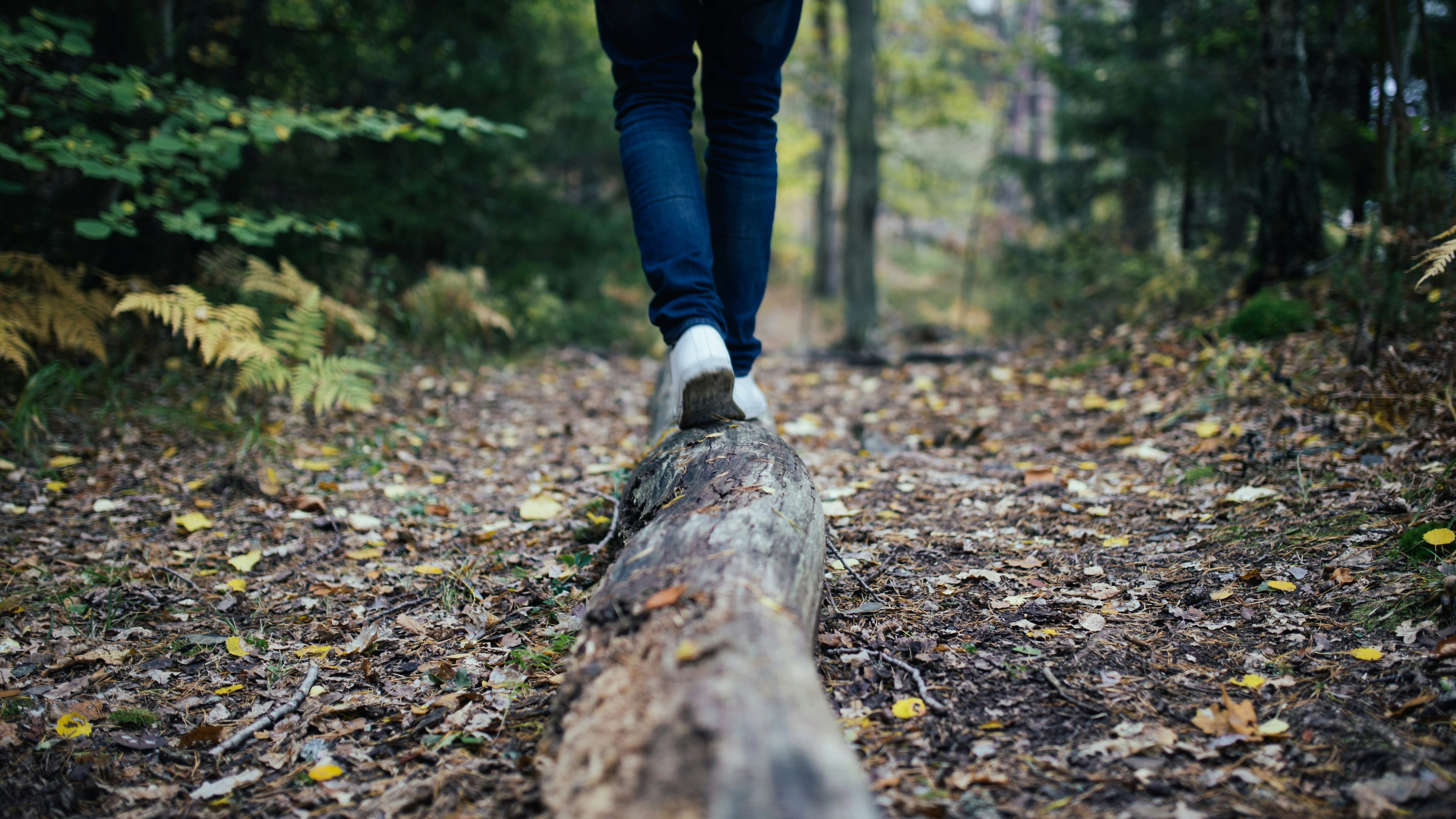 If you're interested in meditating but have never done it before, don't overcomplicate it. Local classes, online sessions, or simply spending time in nature can be a good place to start. (Courtesy of Jon Flobrant)