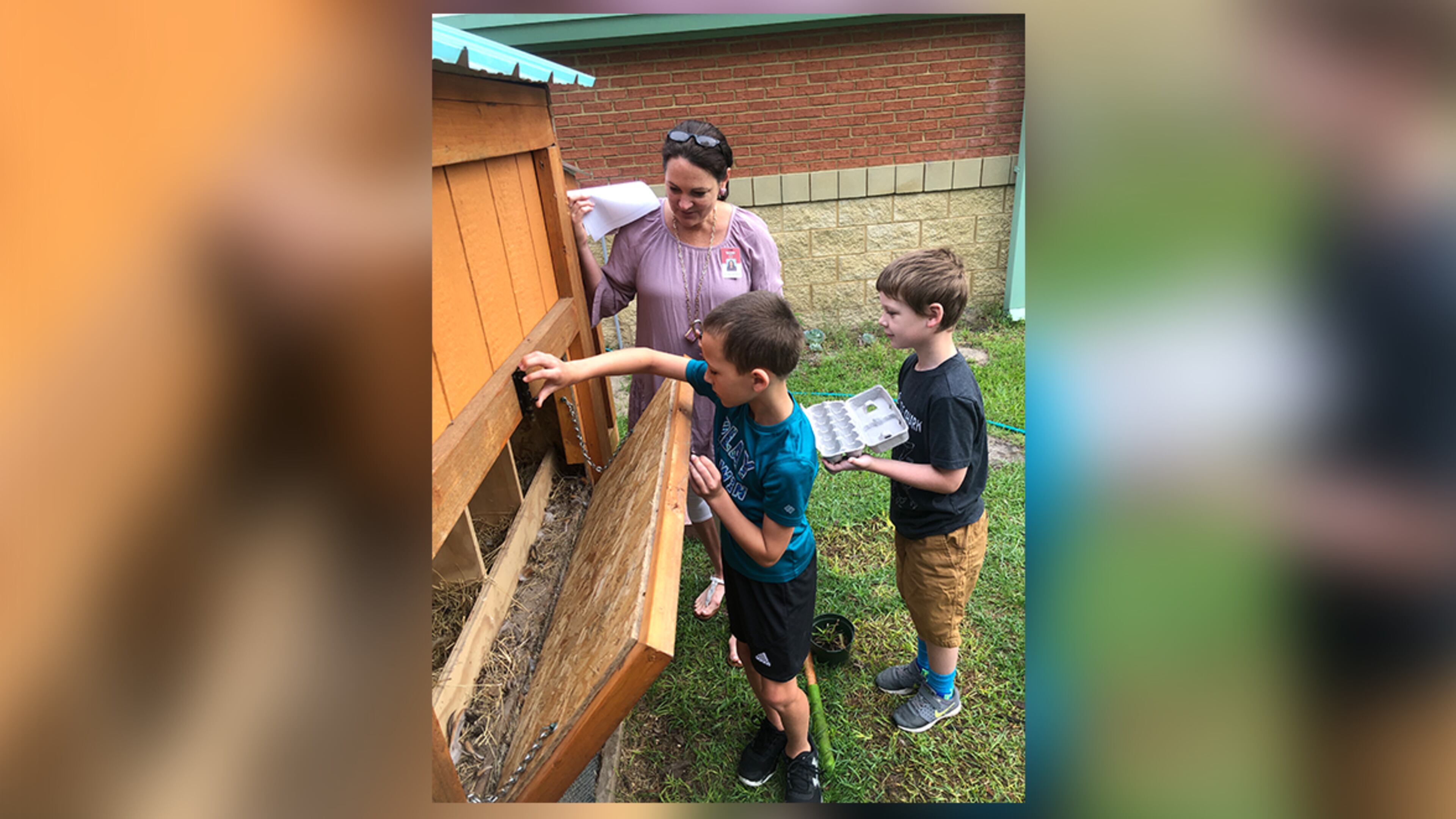 Students and teachers work recently on agriculture education projects. PHOTO COURTESY GEORGIA AGRICULTURAL EDUCATION
