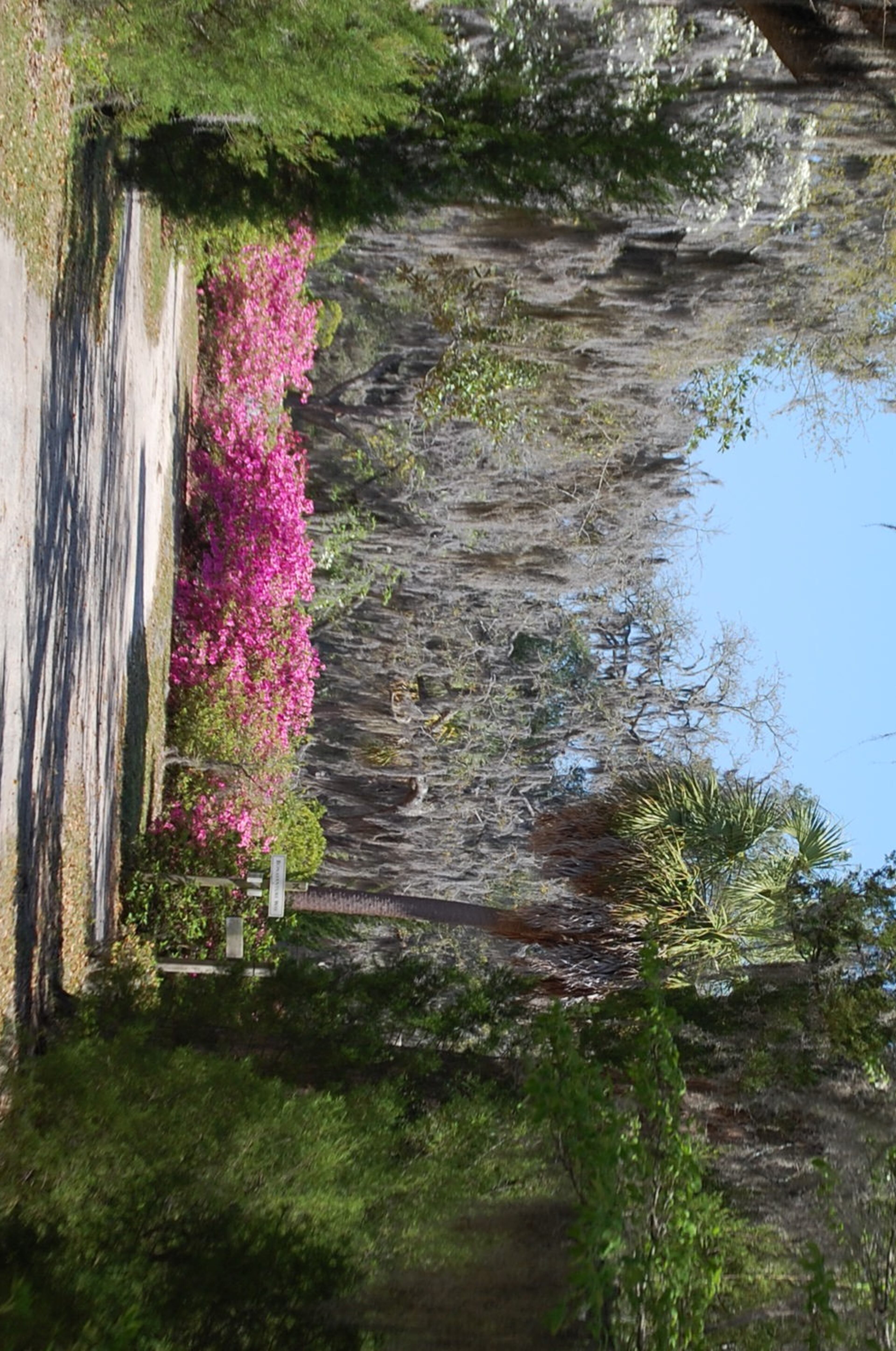 Bonaventure Cemetery in Savannah, Ga.