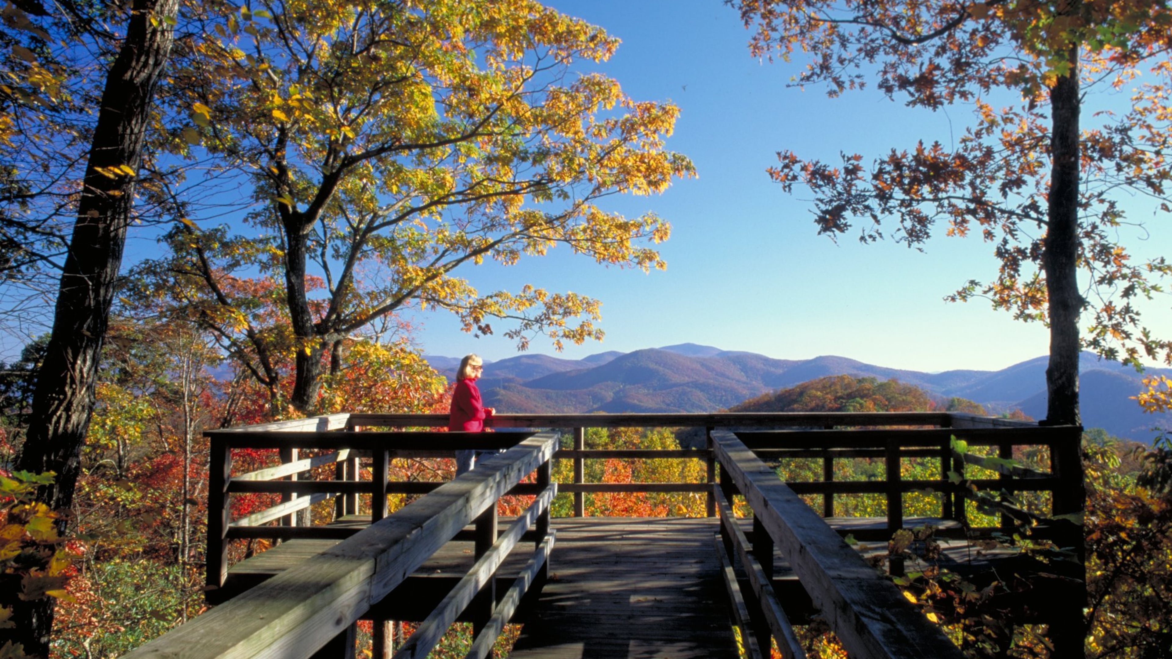 Take a deep breath and enjoy peaceful, gorgeous scenery this fall at Black Rock Mountain State Park in Mountain City. CONTRIBUTED BY GEORGIA STATE PARKS