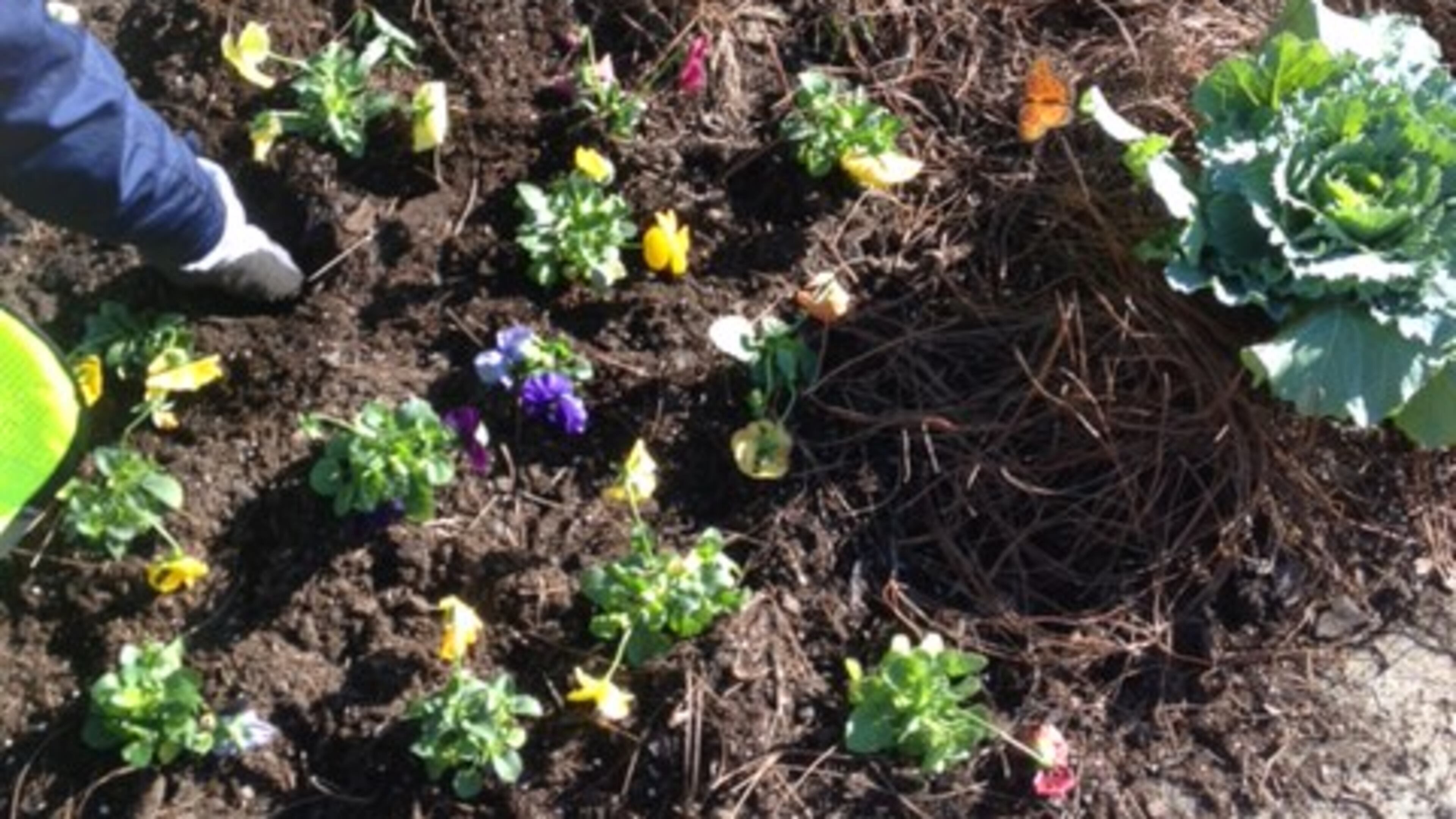 The Hapeville Clean and Beautiful Commission maintains nine flower beds in the city. Courtesy Jeanne Rast.