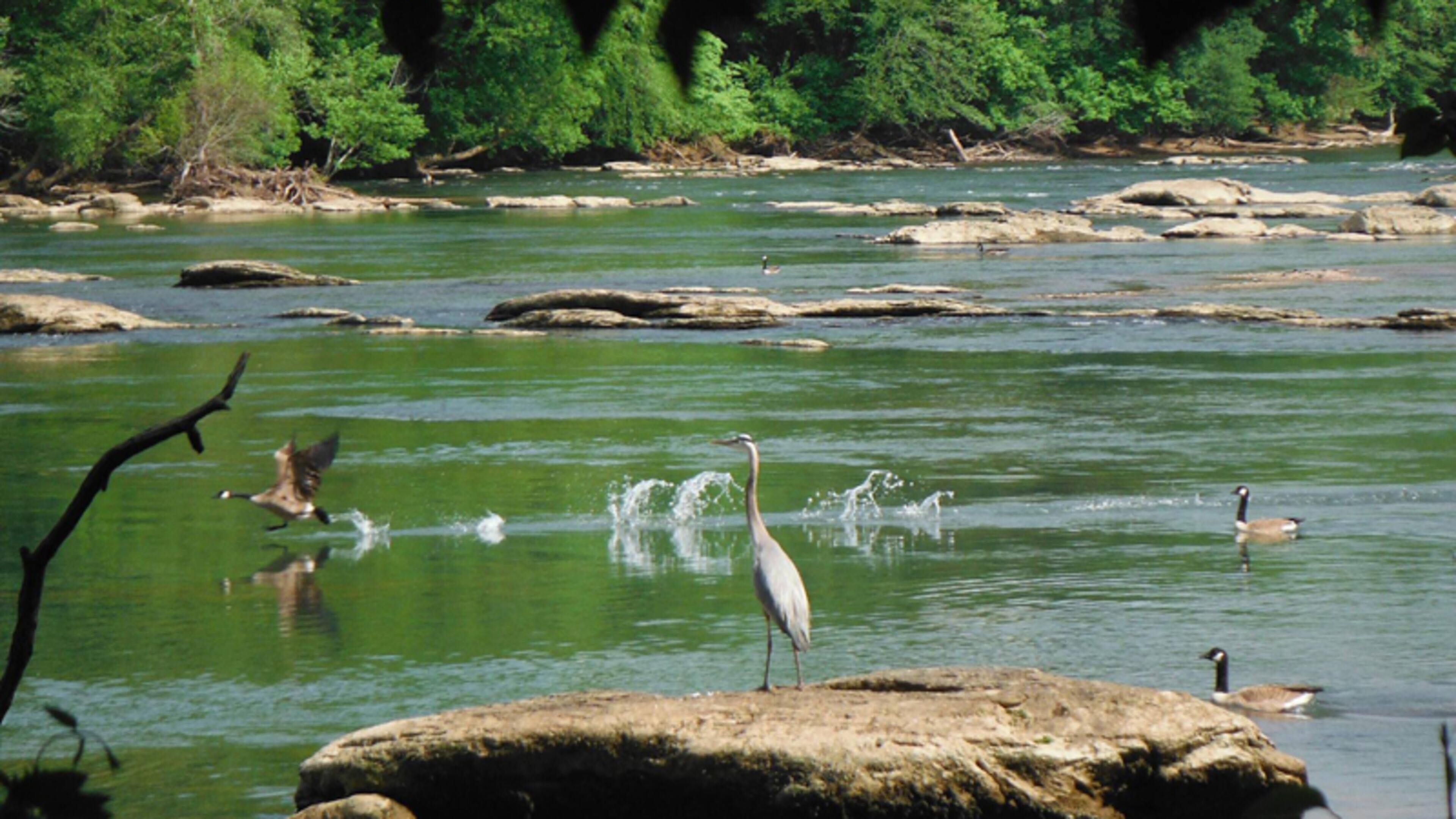 Work is scheduled to begin Monday and go for seven months of a Fulton County sewer line in the Johnson Ferry North unit of the Chattahoochee River National Recreation Area.