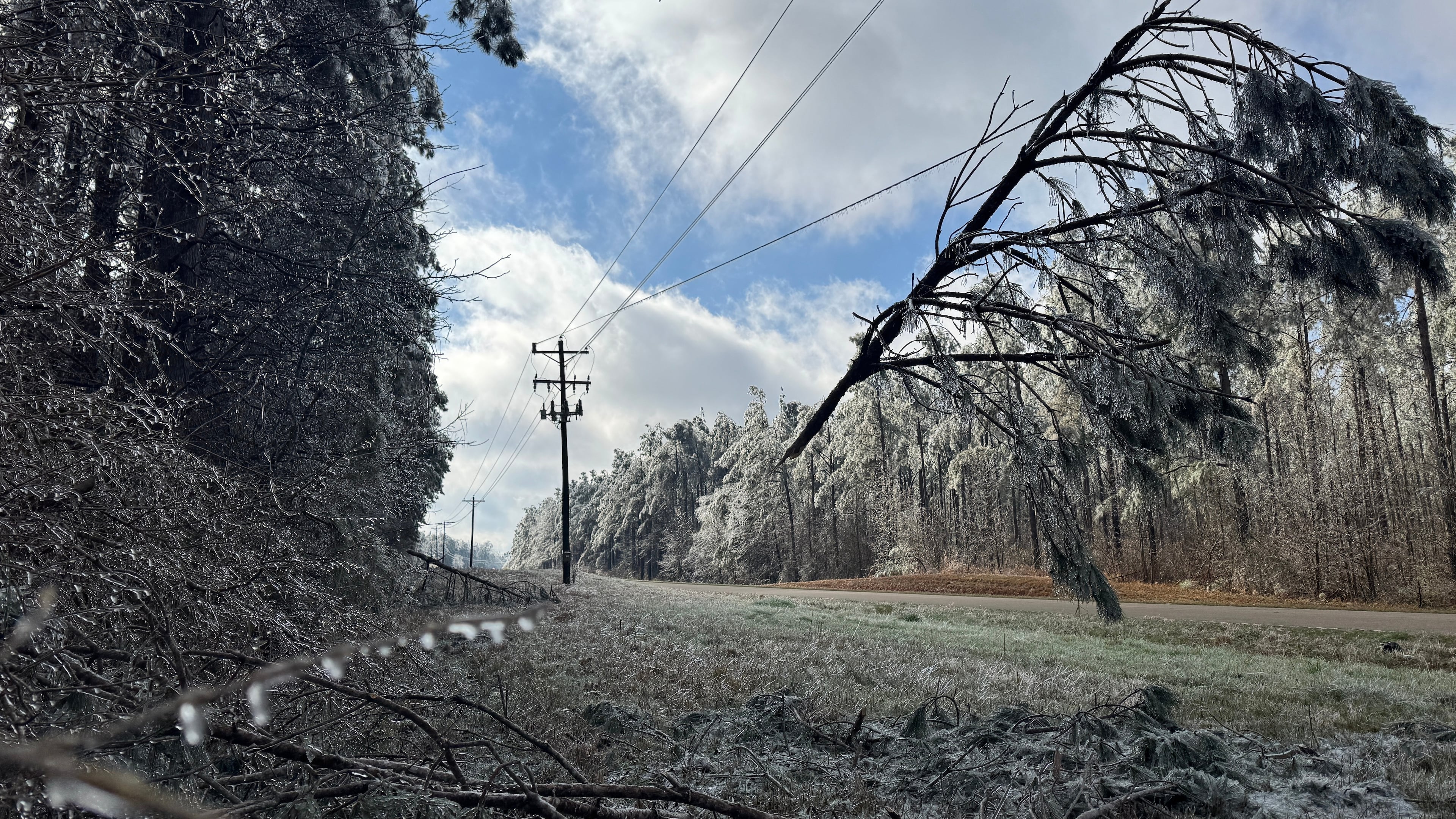 A tree limb dangles from a power line near Lexington, Miss., Tuesday, Jan. 27, 2026. (AP Photo/Sophie Bates)