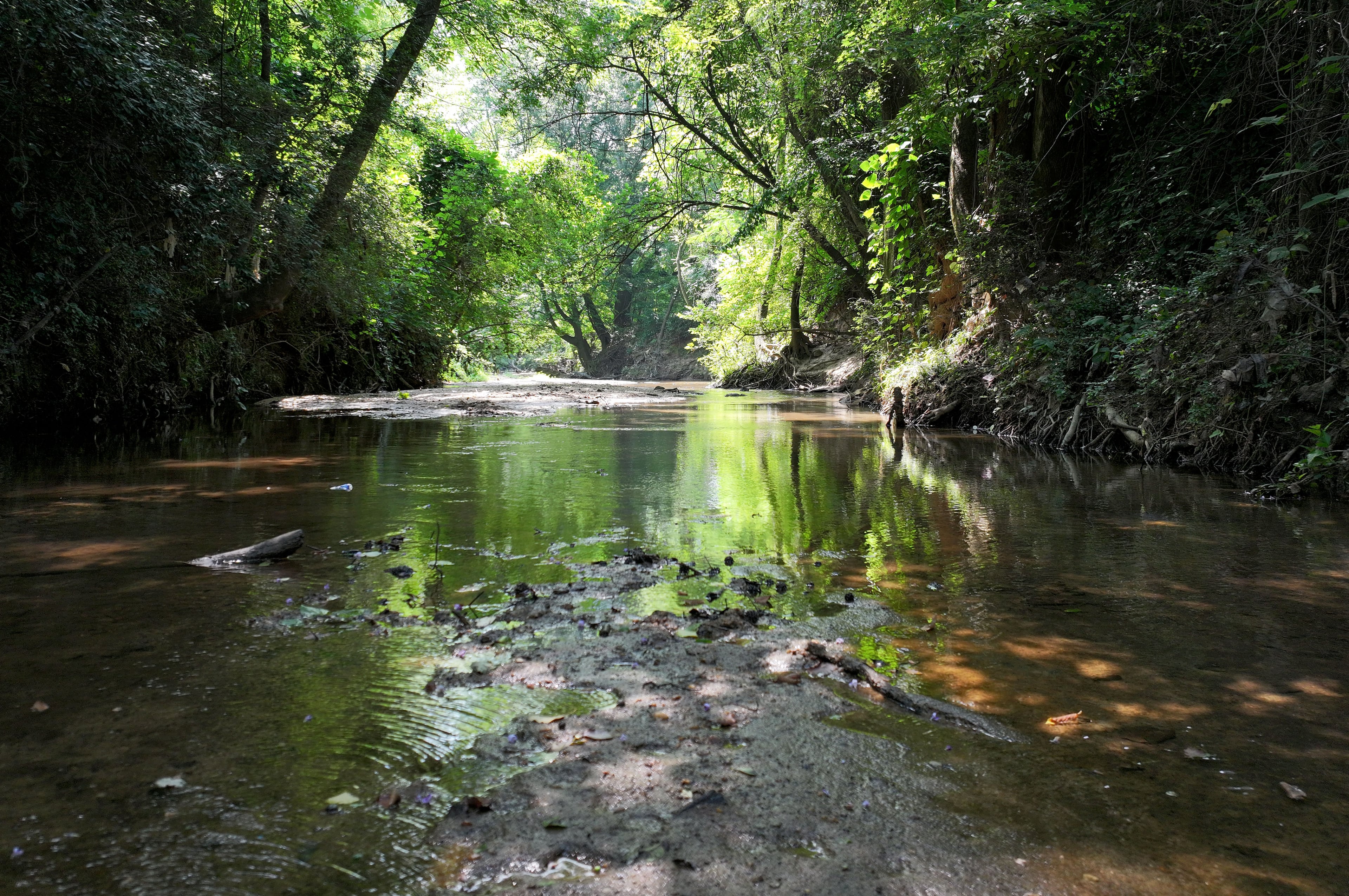 Atlanta is investigating a new fish kill on a different metro area river
