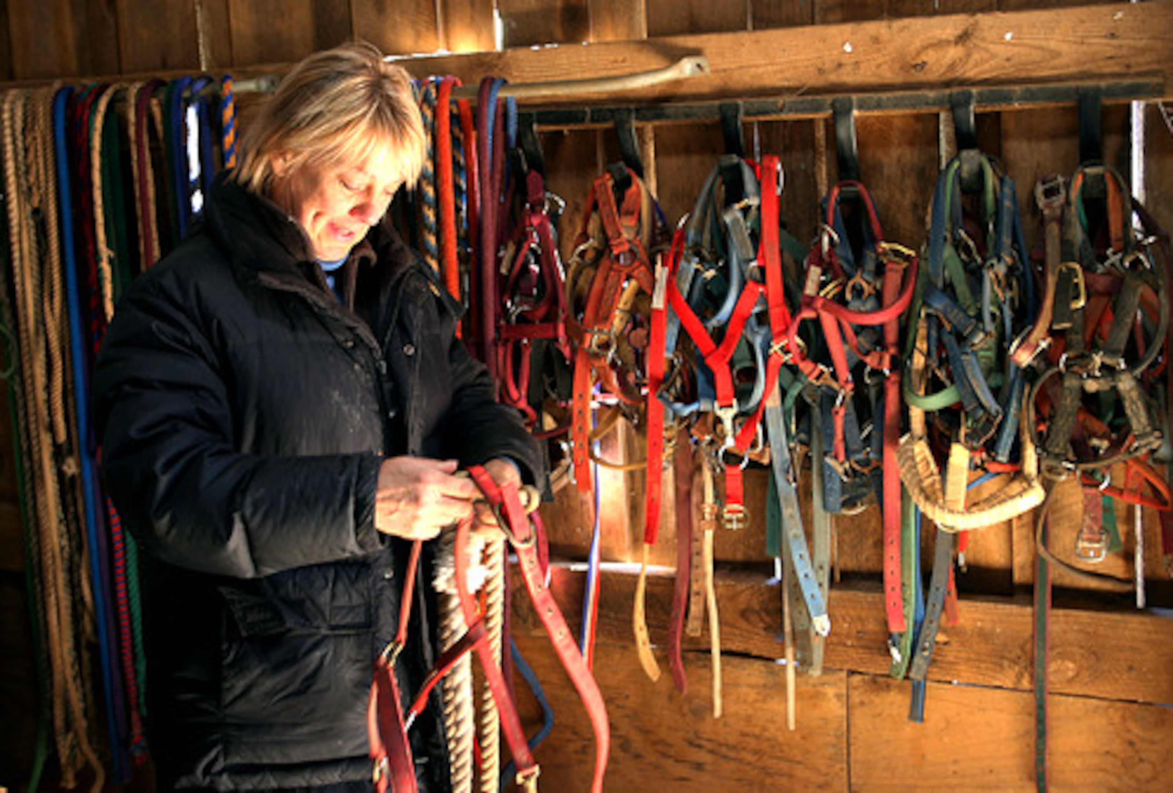 Save The Horses, in Cumming, one of the largest horse rescue operations in the Southeast, reports being "overrun" with horses this winter. The non-profit's director and founder, Cheryl Flanagan, said about half of her 70 horses wer given up for economic reasons.