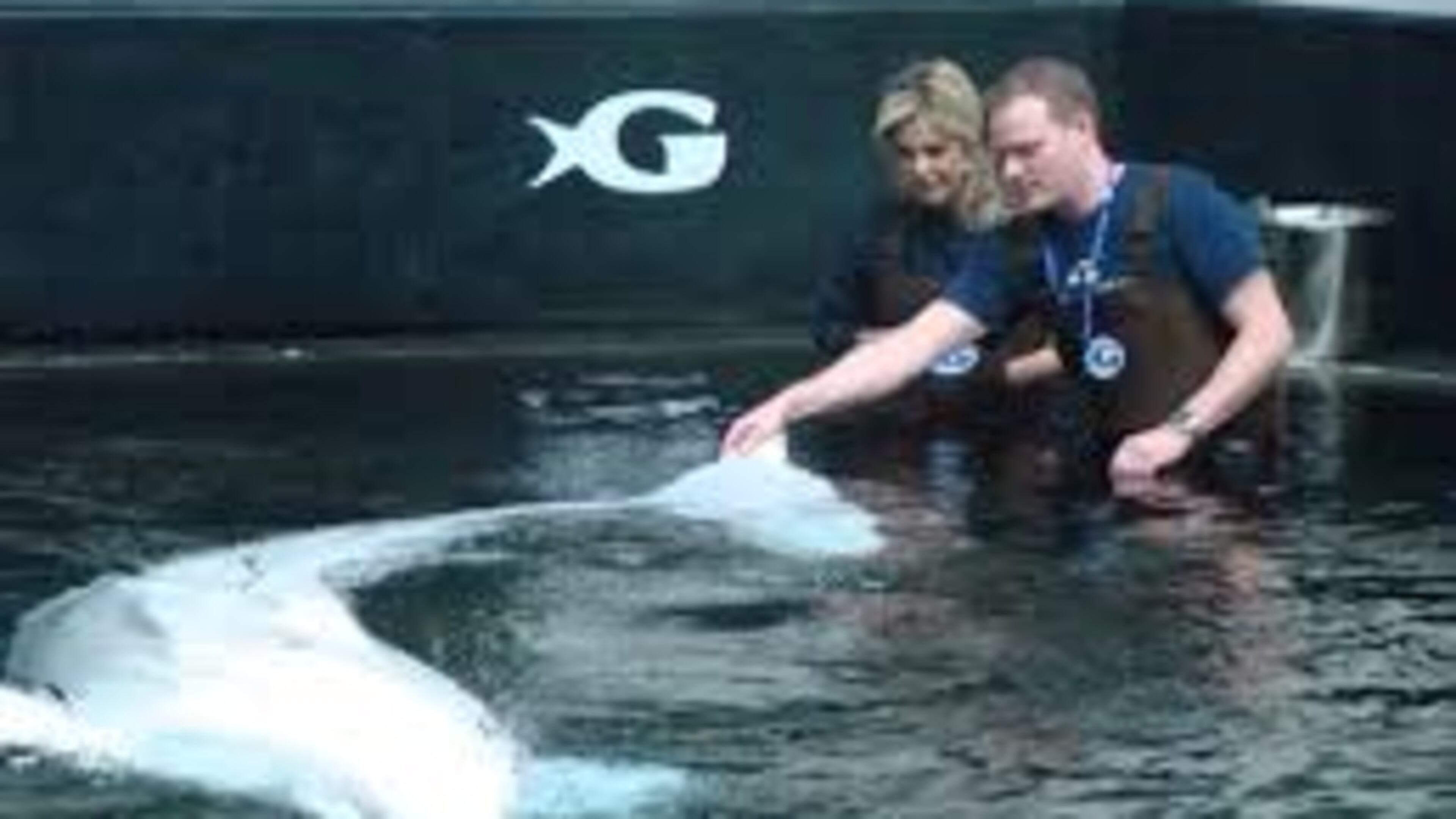 Deborah Norville at the Georgia Aquarium in early 2011. CREDIT: Rodney Ho/rho@ajc.com