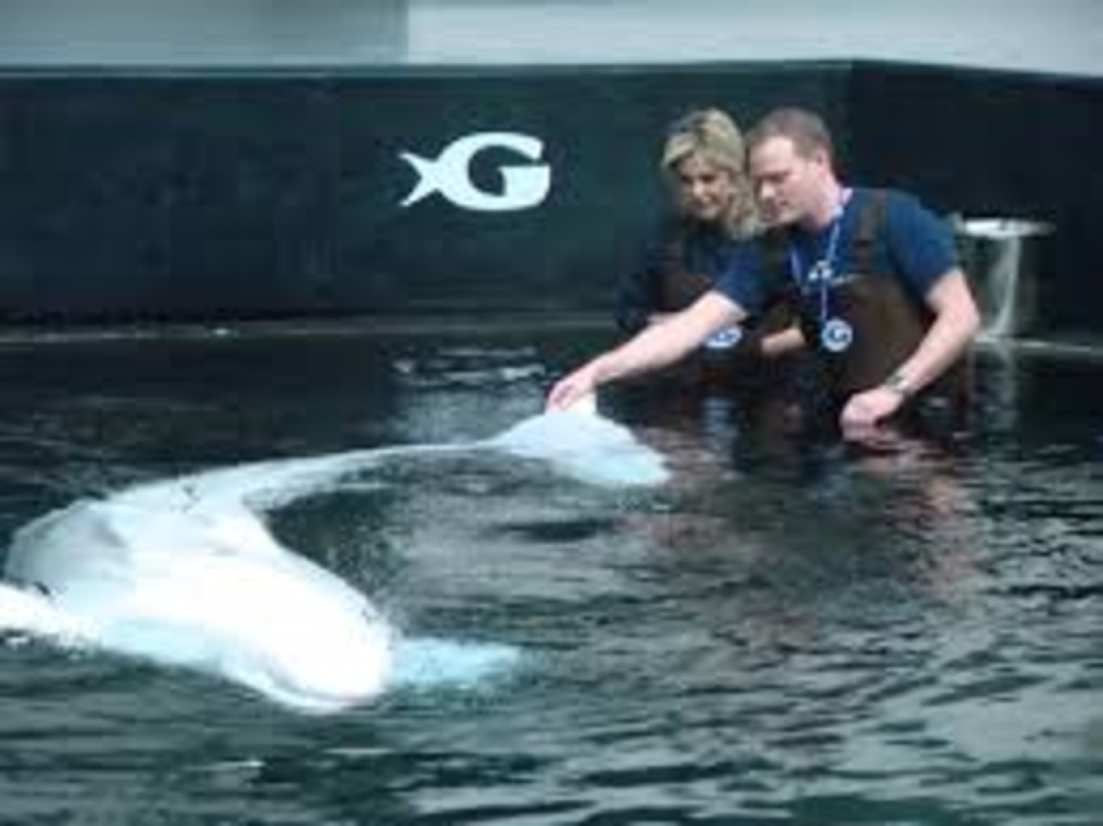Deborah Norville at the Georgia Aquarium in early 2011. CREDIT: Rodney Ho/rho@ajc.com