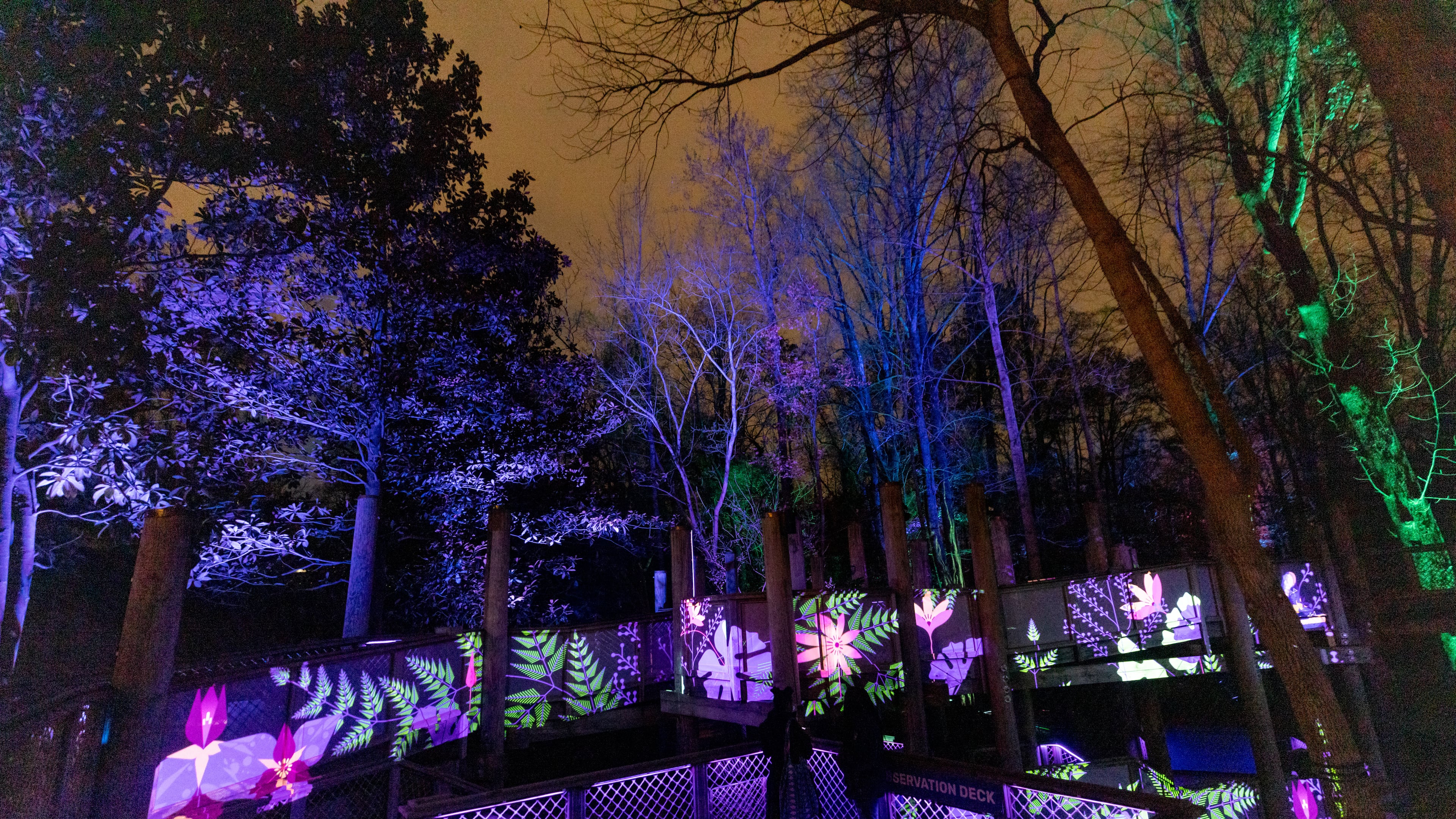 at the Wildwoods: AGLOW Experience at the Fernbank Museum in Atlanta, GA, on Friday, December 2, 2022.(Photo/Jenn Finch)
