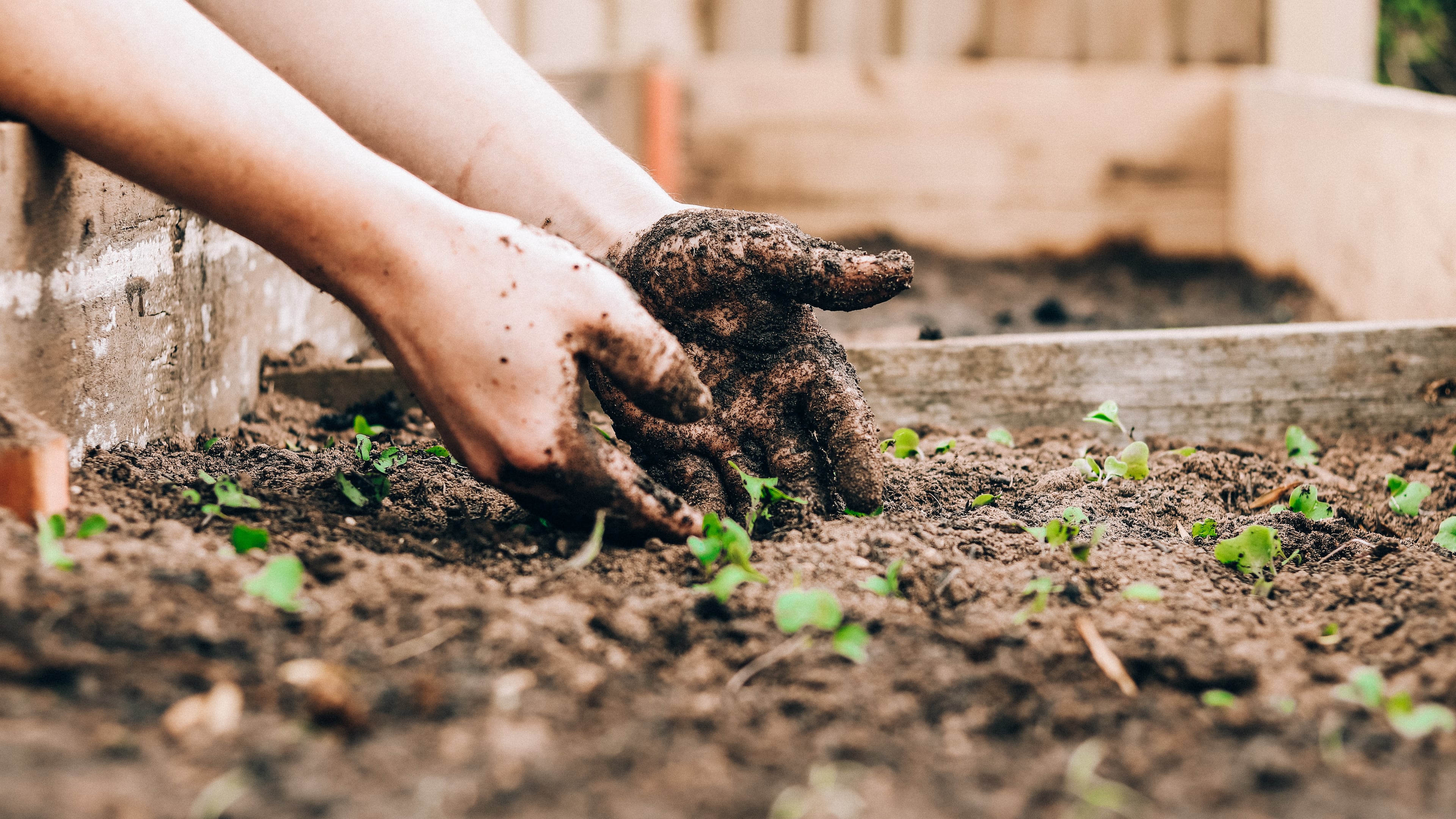 If you’ve ever wanted to learn how to build your own hydroponics system or enhance your connection to local food, the Plant. Eat. Repeat. workshops are for you.