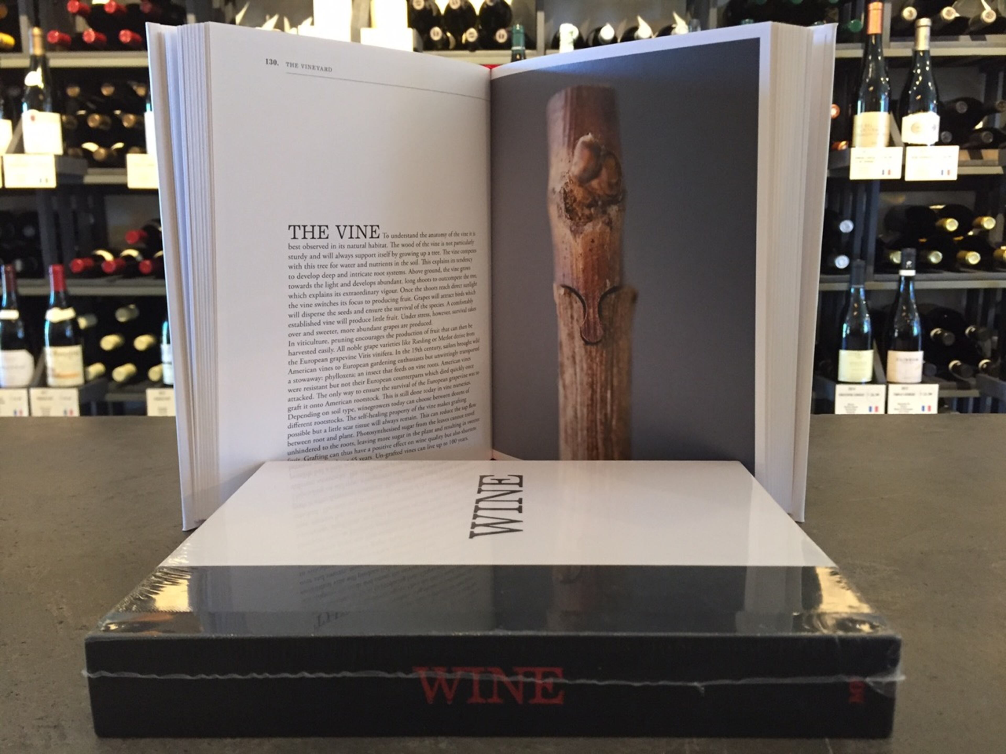 Photo credit: Perrine Prieur